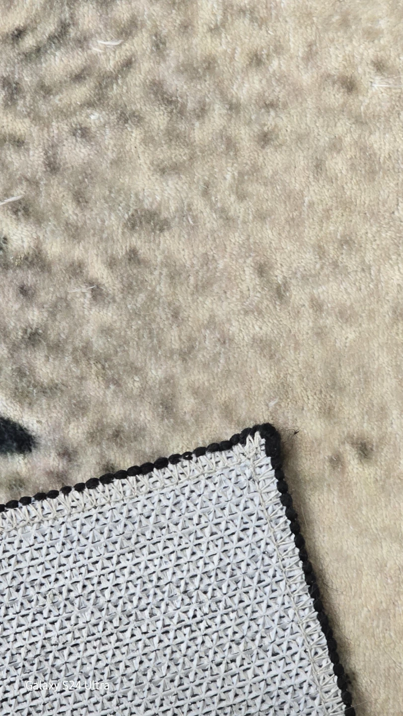 Abstract Area Rug - photo 4