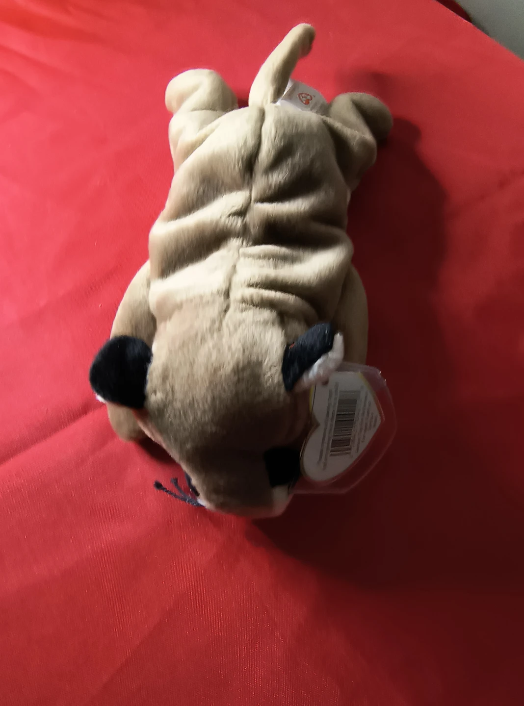 Ty Beanie Baby Canyon Cougar Plush Toy