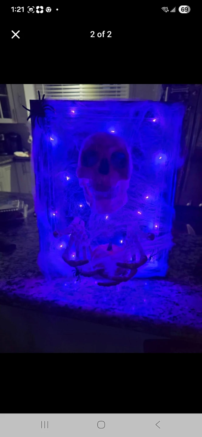 Halloween Decoration - Skull and Spider Display - photo 2