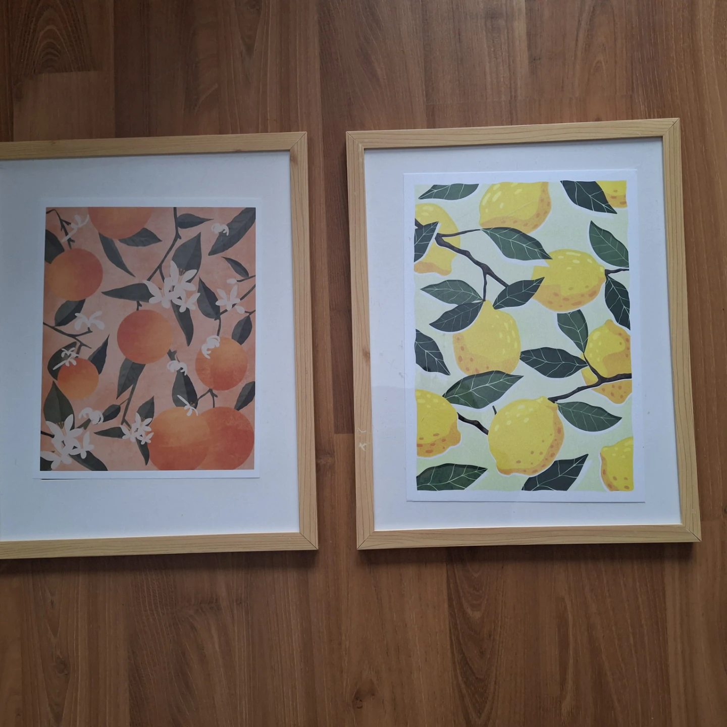 Framed Citrus Fruit Art Prints (Oranges & Lemons)