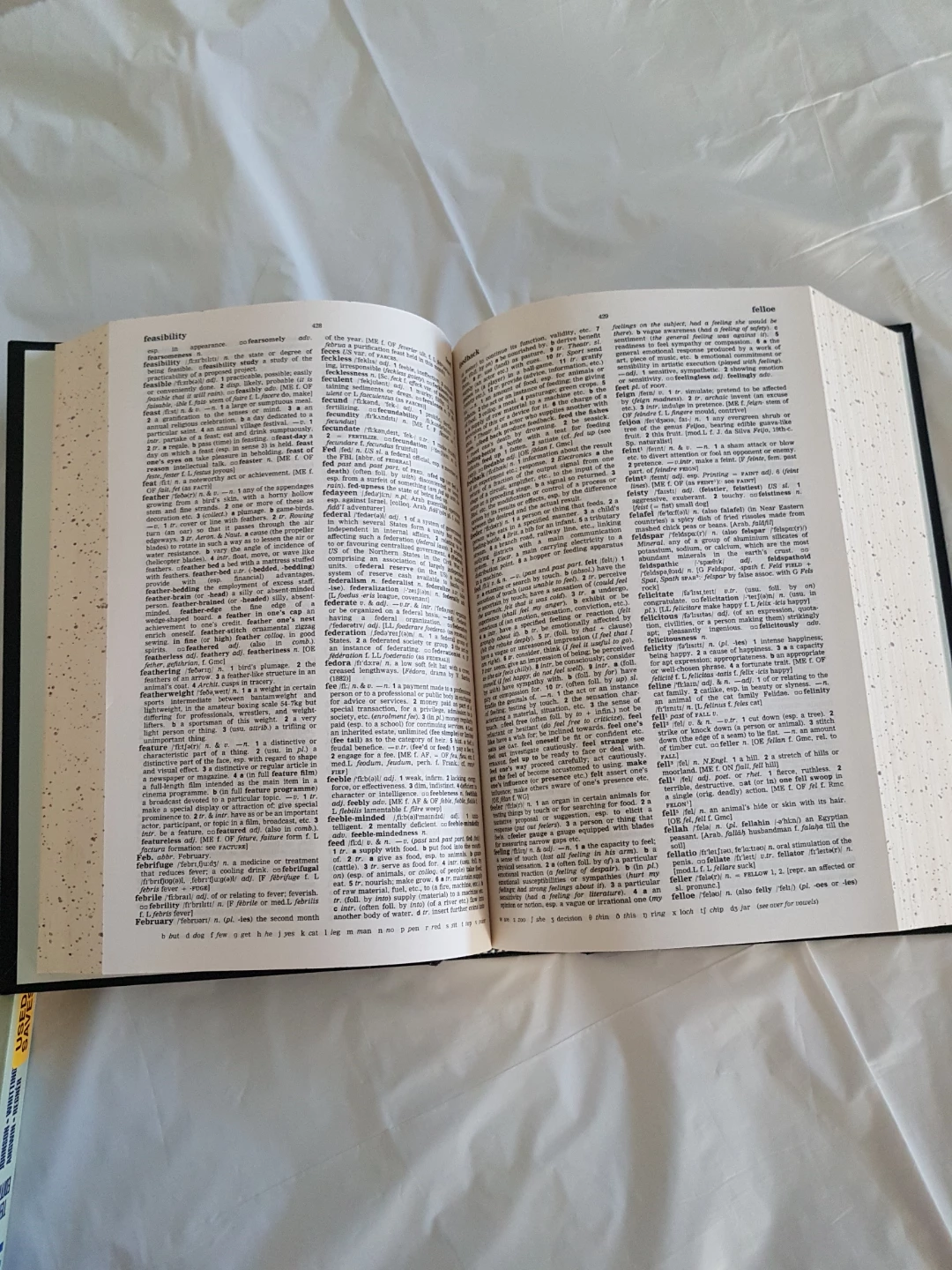 The Concise Oxford Dictionary - photo 4