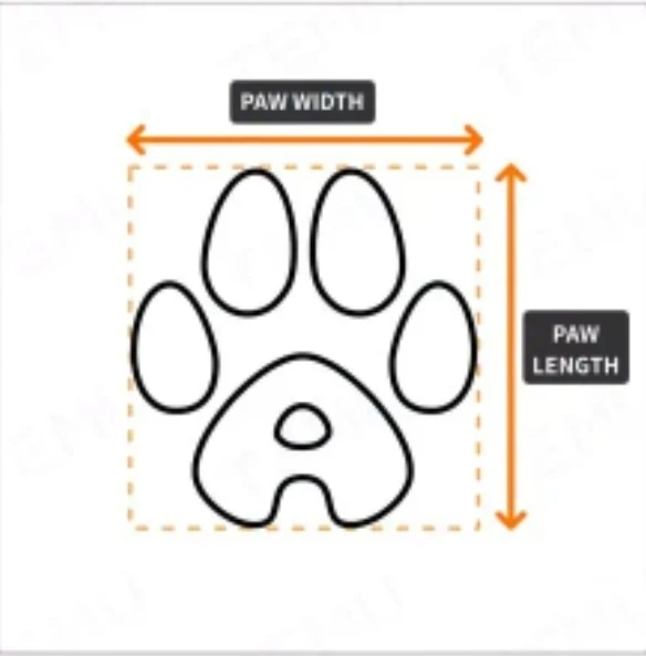 🐾 5 sets of Cute Dog Socks 🐾 (Medium, Non-Skid) - photo 5