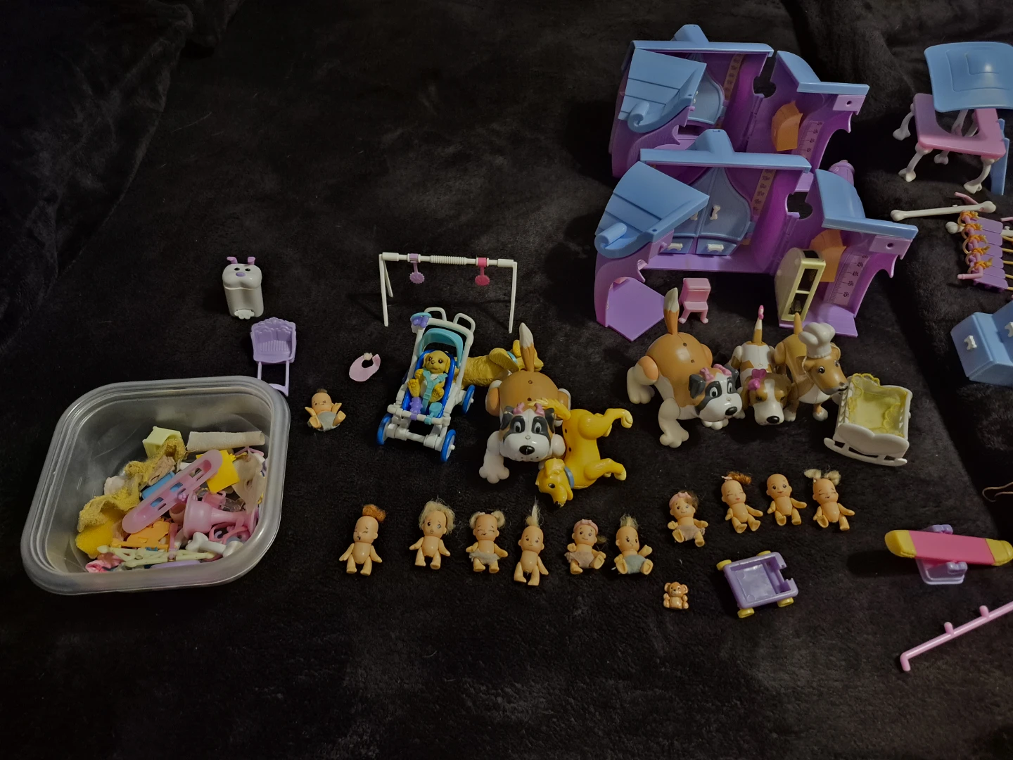 Assortment of Doggy Daycare toys and accessories