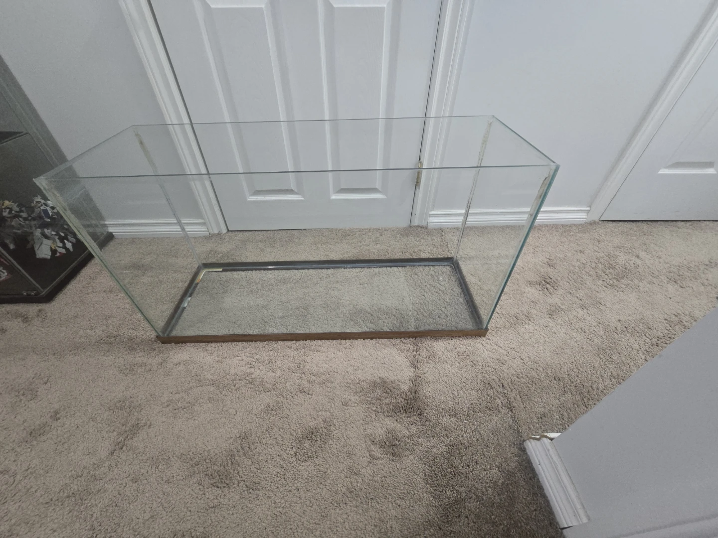35 Gallon Glass Aquarium Tank