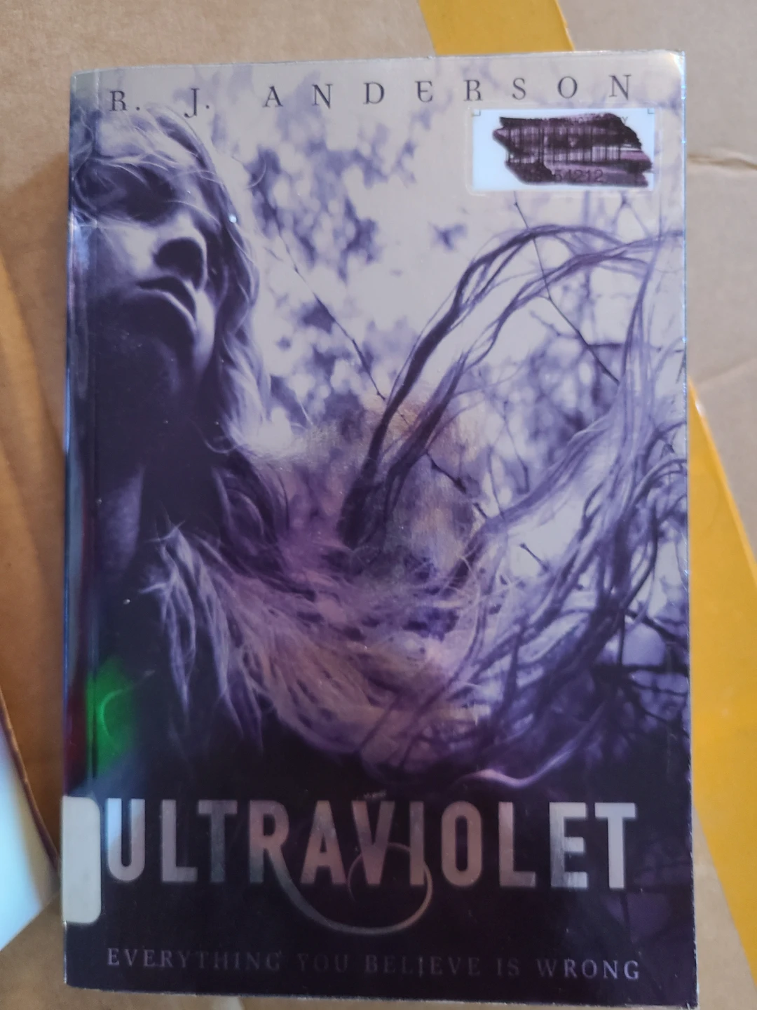 Lot of Young Adult Fiction - photo 2