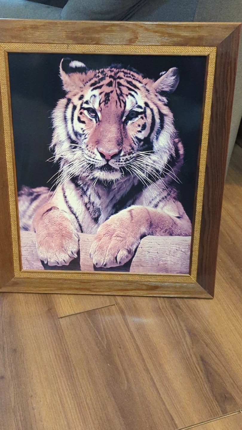 Framed Tiger Portrait Wall Art