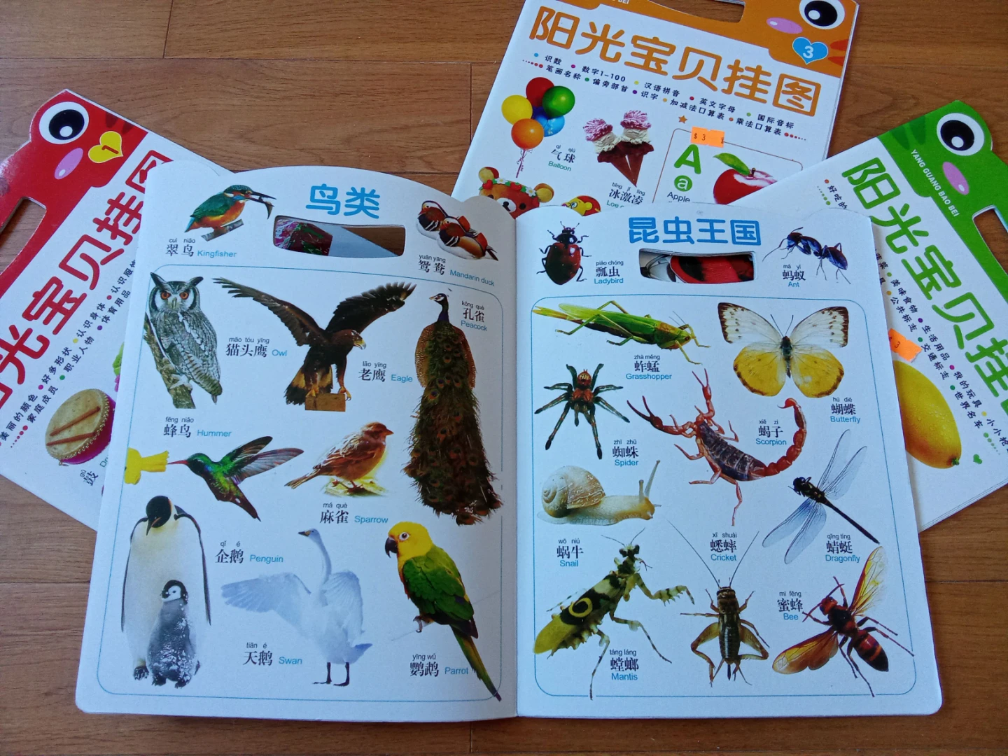 NEW Children's Educational Picture Books - photo 2