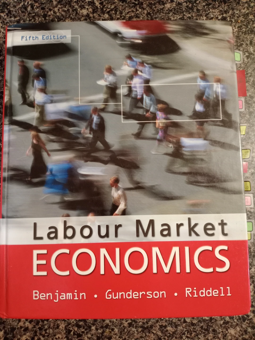 Labour Market Economics Fifth Edition Textbook