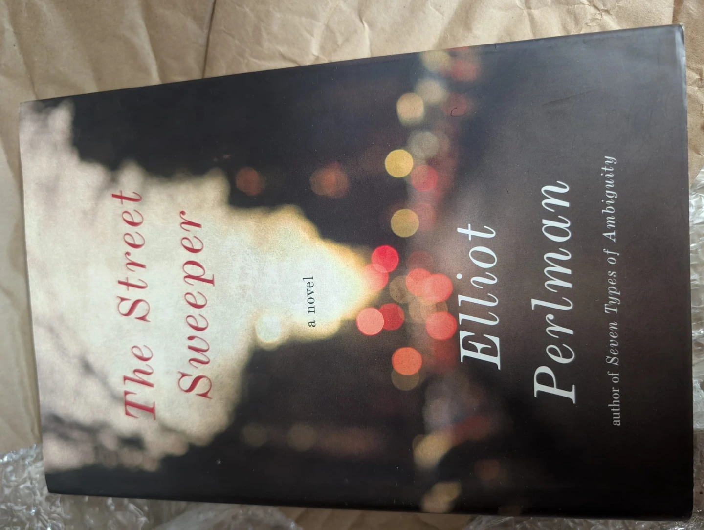 The Street Sweeper by Eliot Perlman