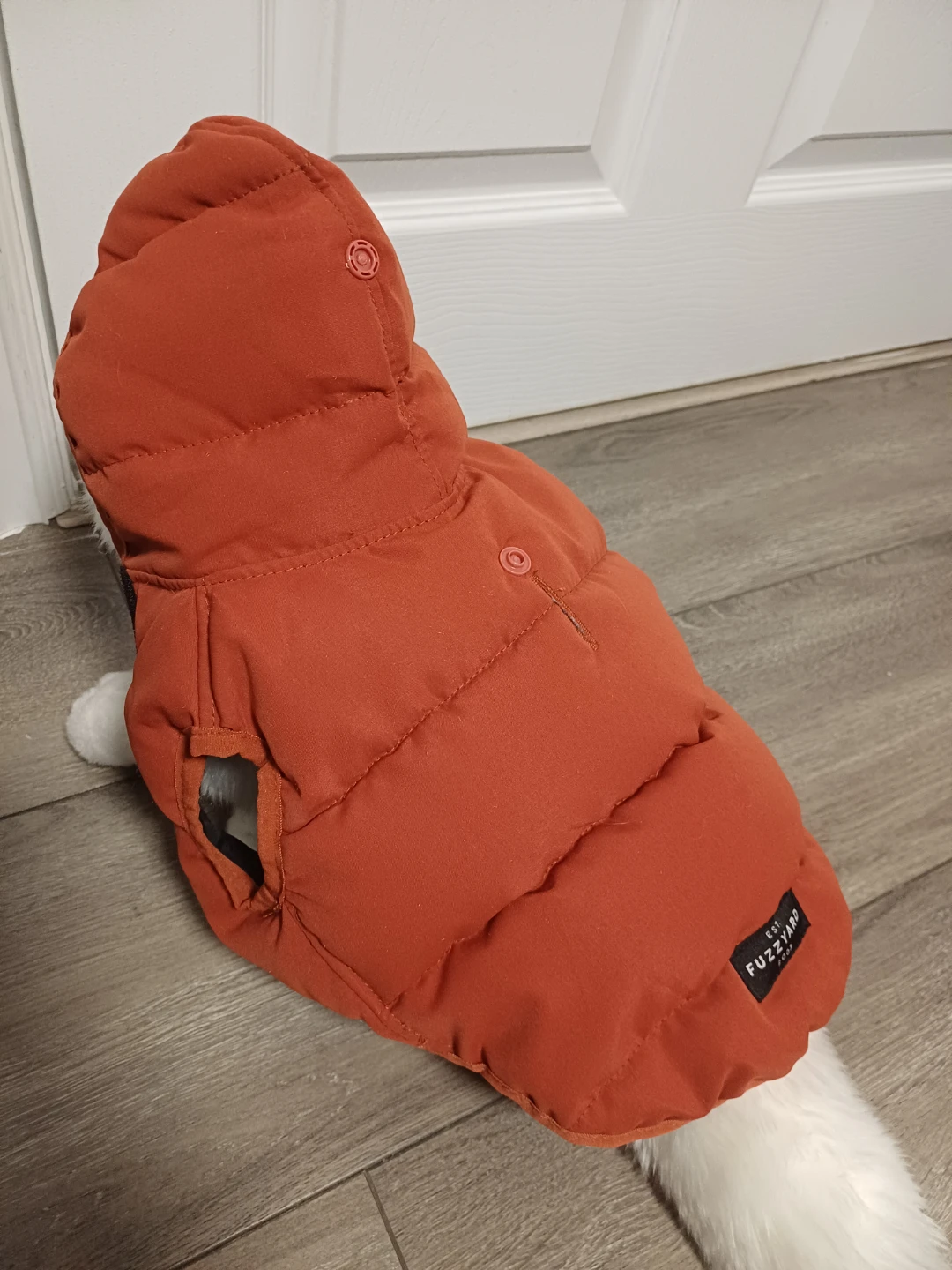Fuzzyard Puffer Dog Jacket - Orange - photo 5