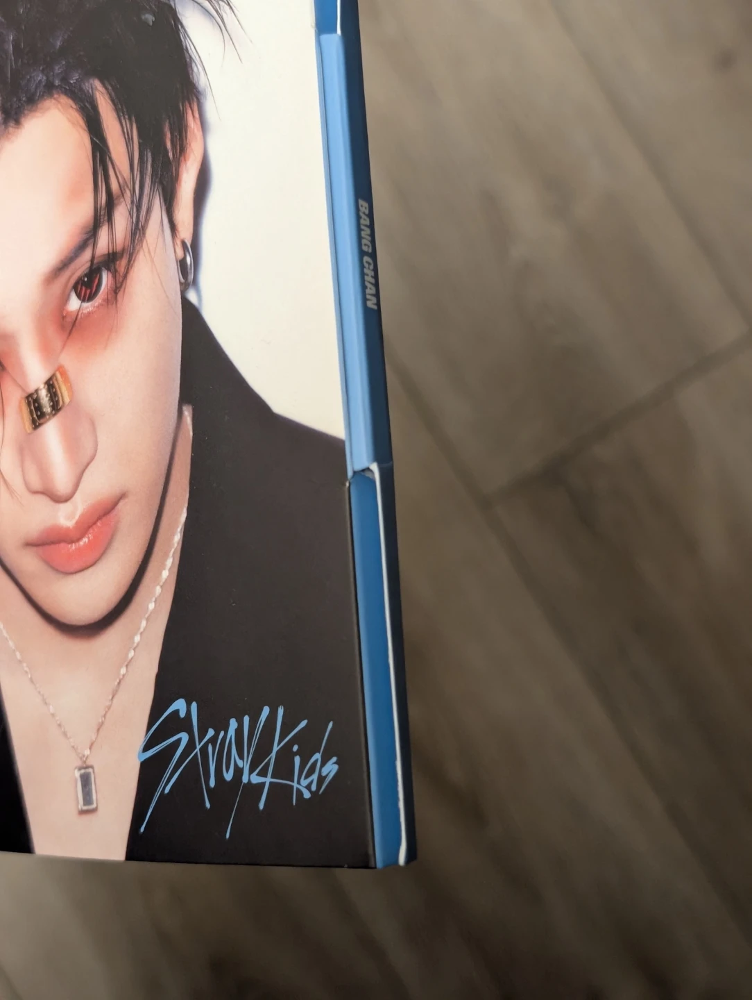 Bang Chan Karma Accordion - photo 2