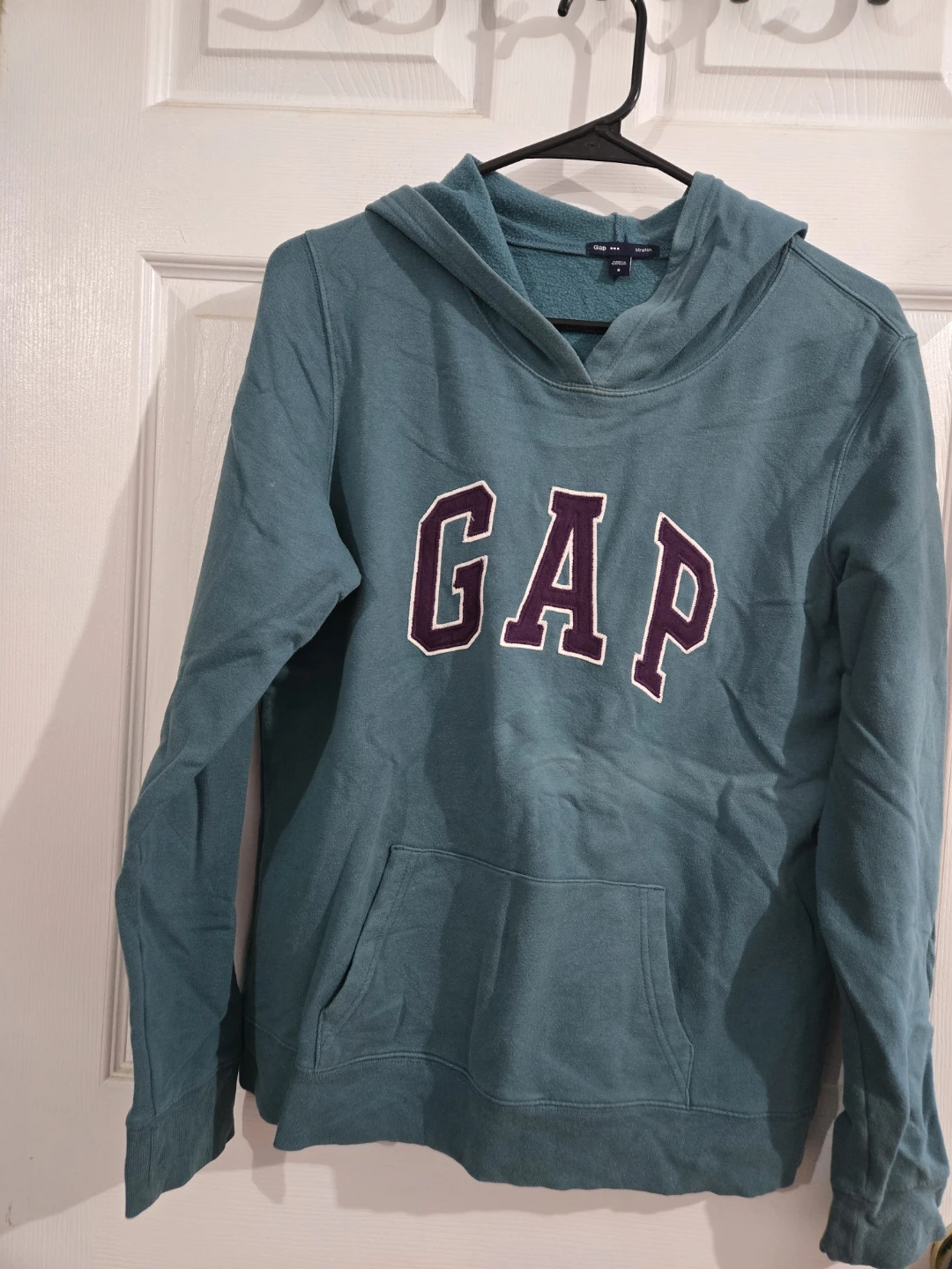 Gap Hoodie