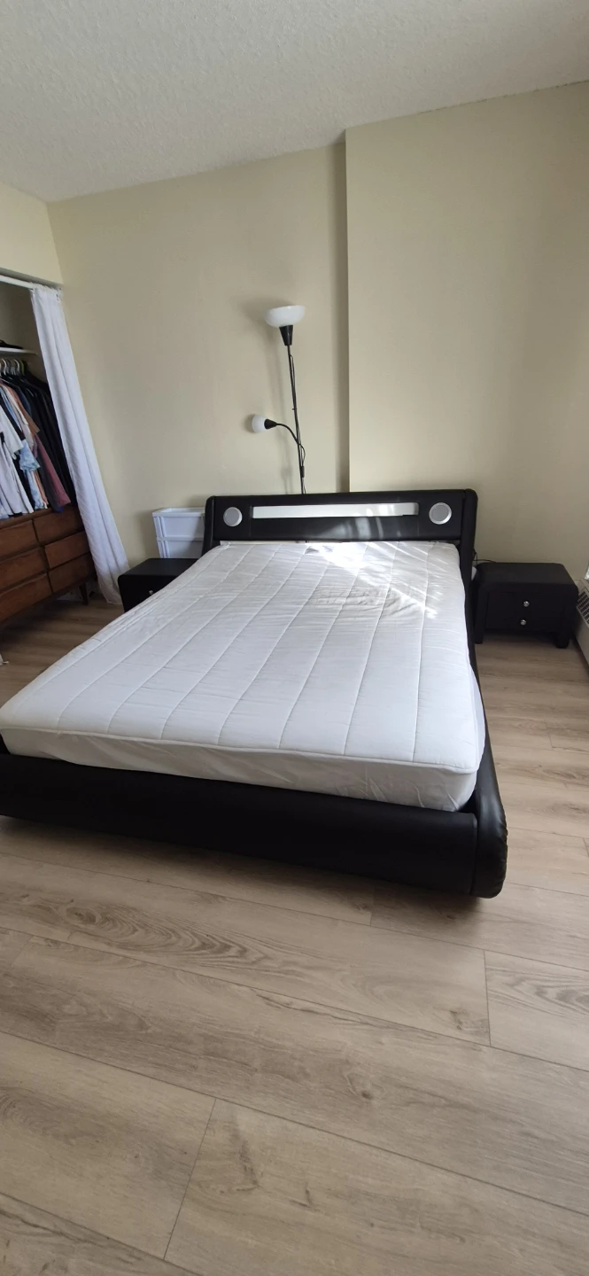 Black Faux Leather Queen Bed Frame with LED Lights and Remote