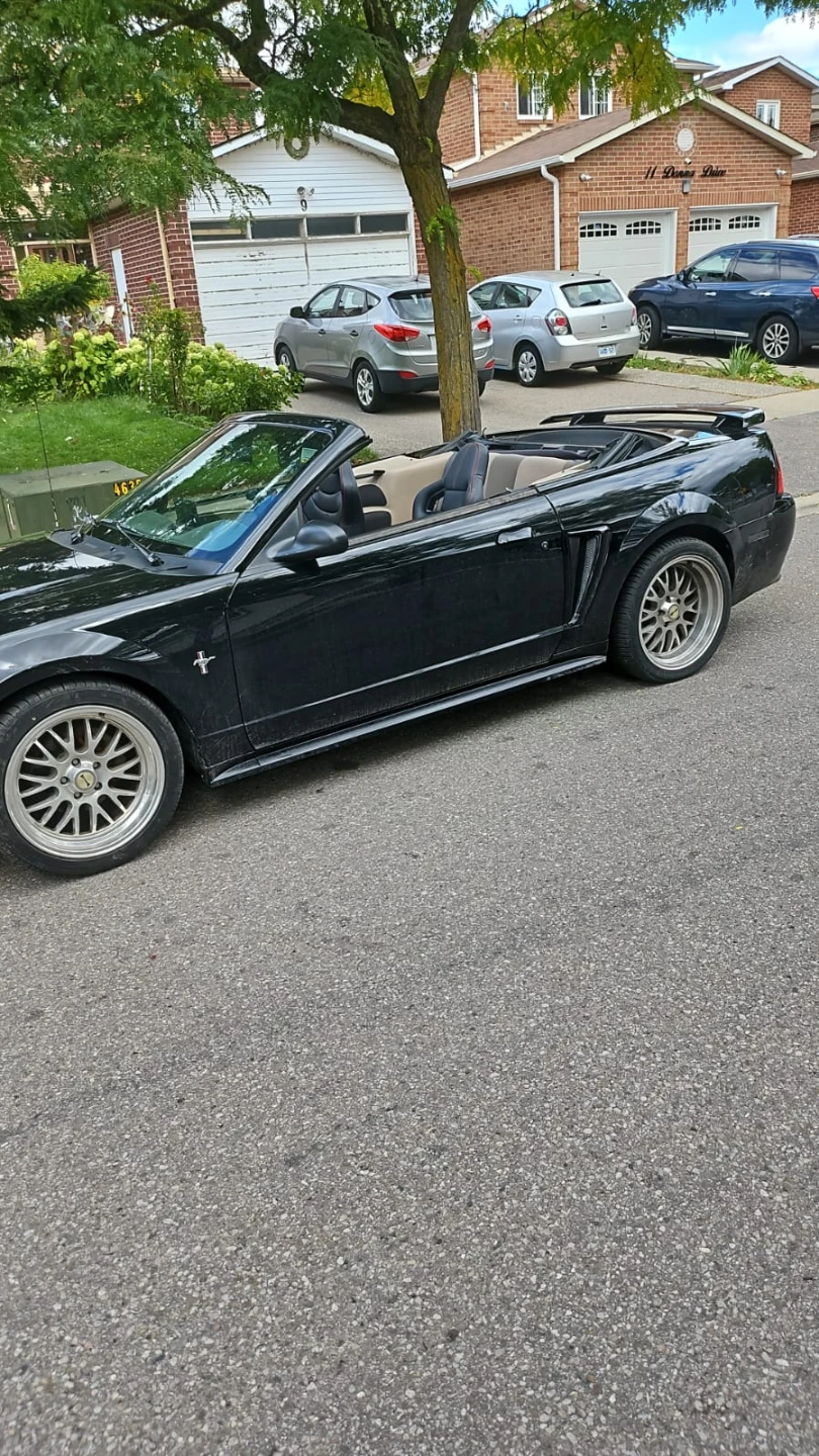 2002 Black Ford Mustang Convertible - photo 2