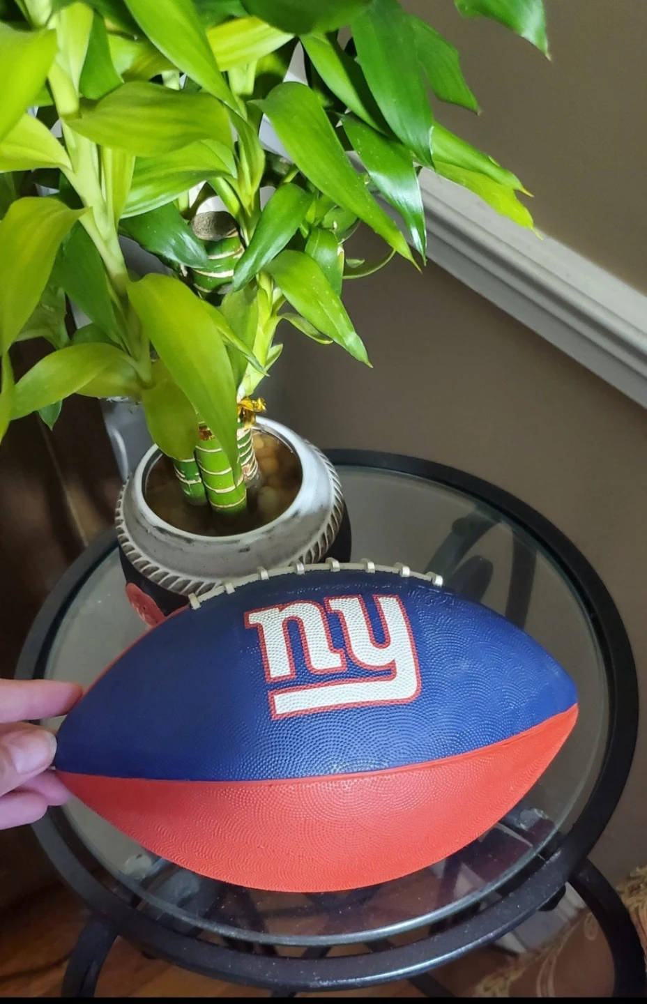 🥕New York Giants NFL Football🥕 - photo 2
