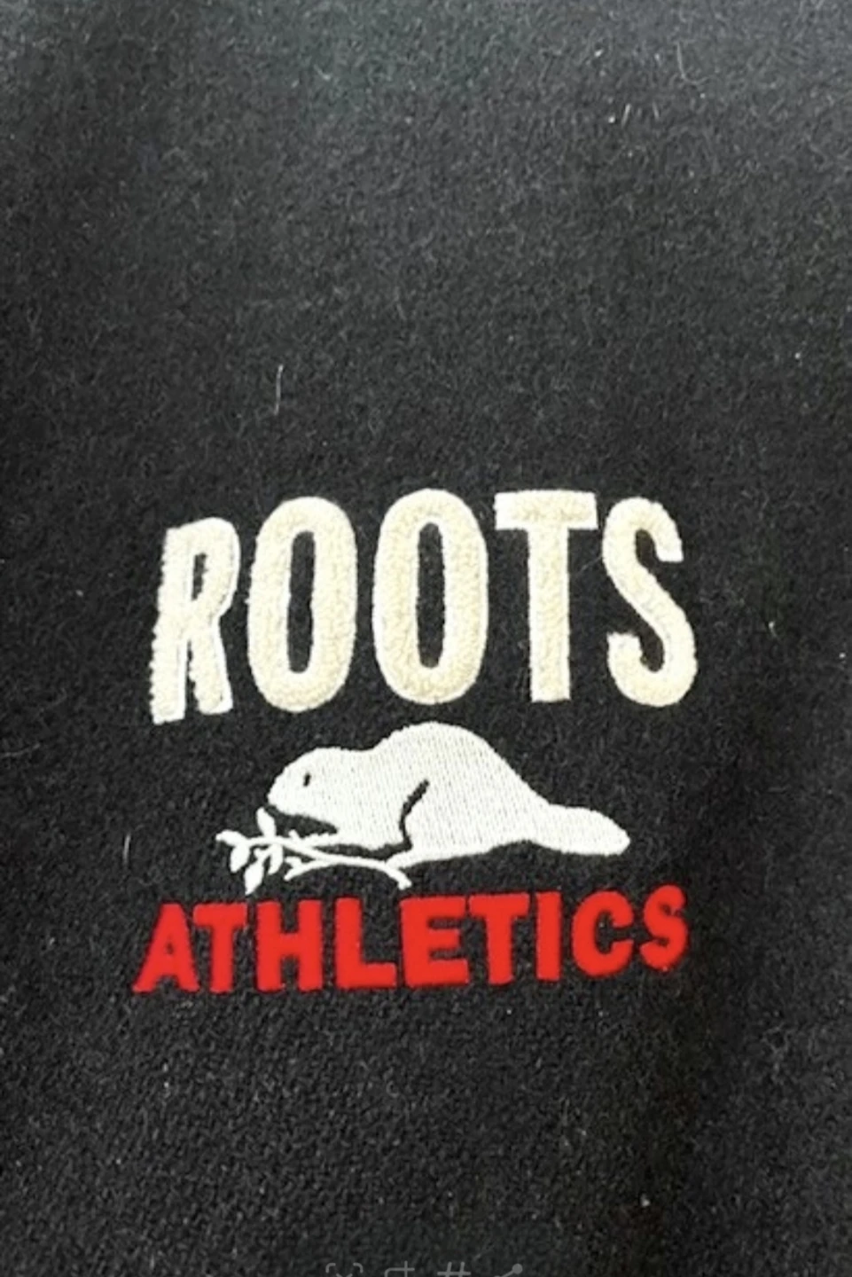 Roots Athletics Nagano 1998 Olympic Varsity Jacket - photo 3