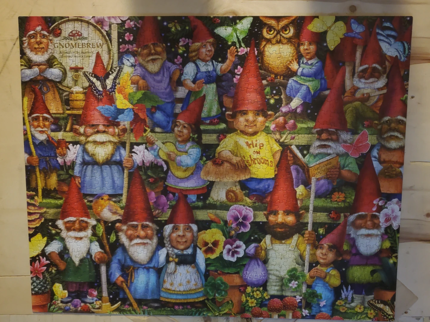 GNOMES GALORE PUZZLE 🏆 - photo 2