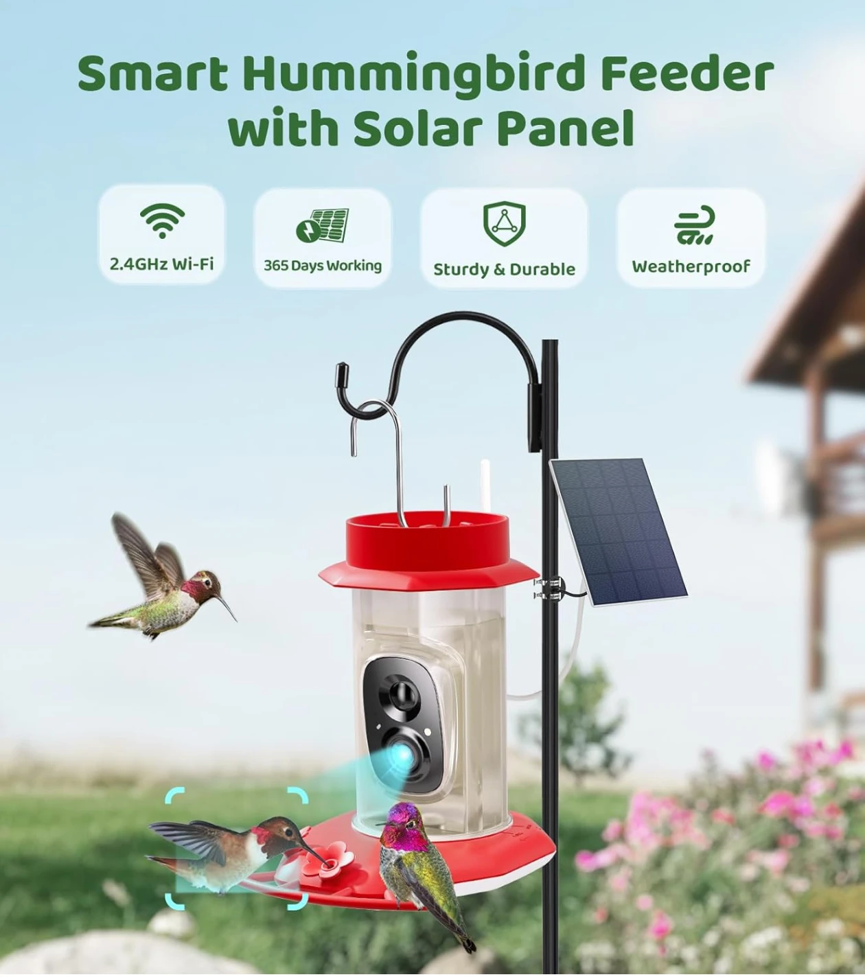 HIXX Smart Hummingbird Feeder with Live Cam - photo 5