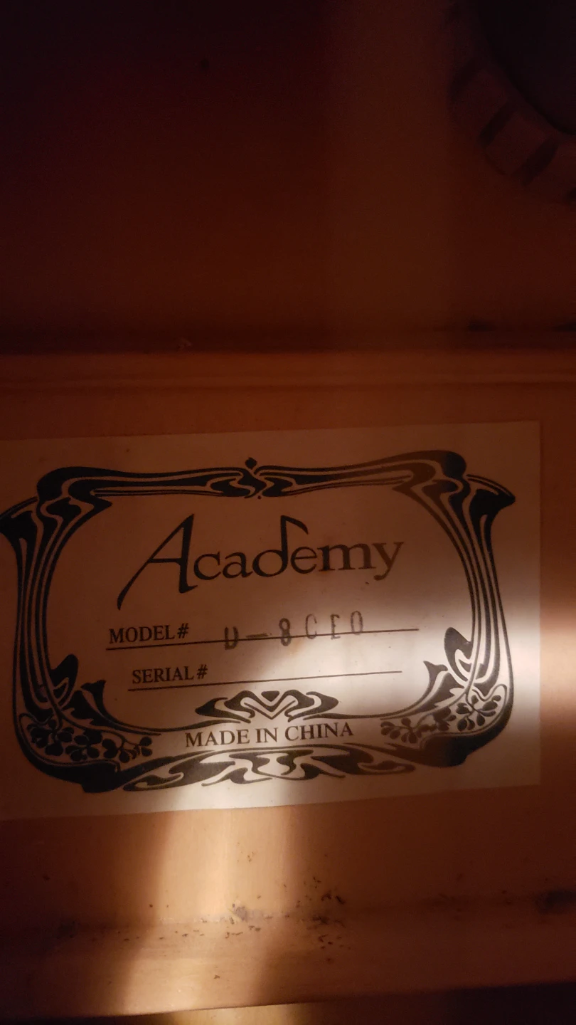 Academy Acoustic Electric Guitar - photo 2
