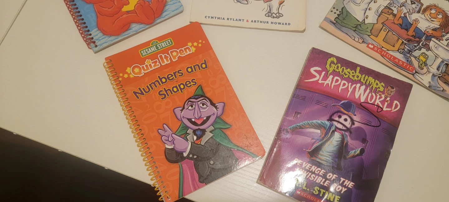 Children's Book Bundle: Sesame Street, Goosebumps, Mercer Mayer - photo 2