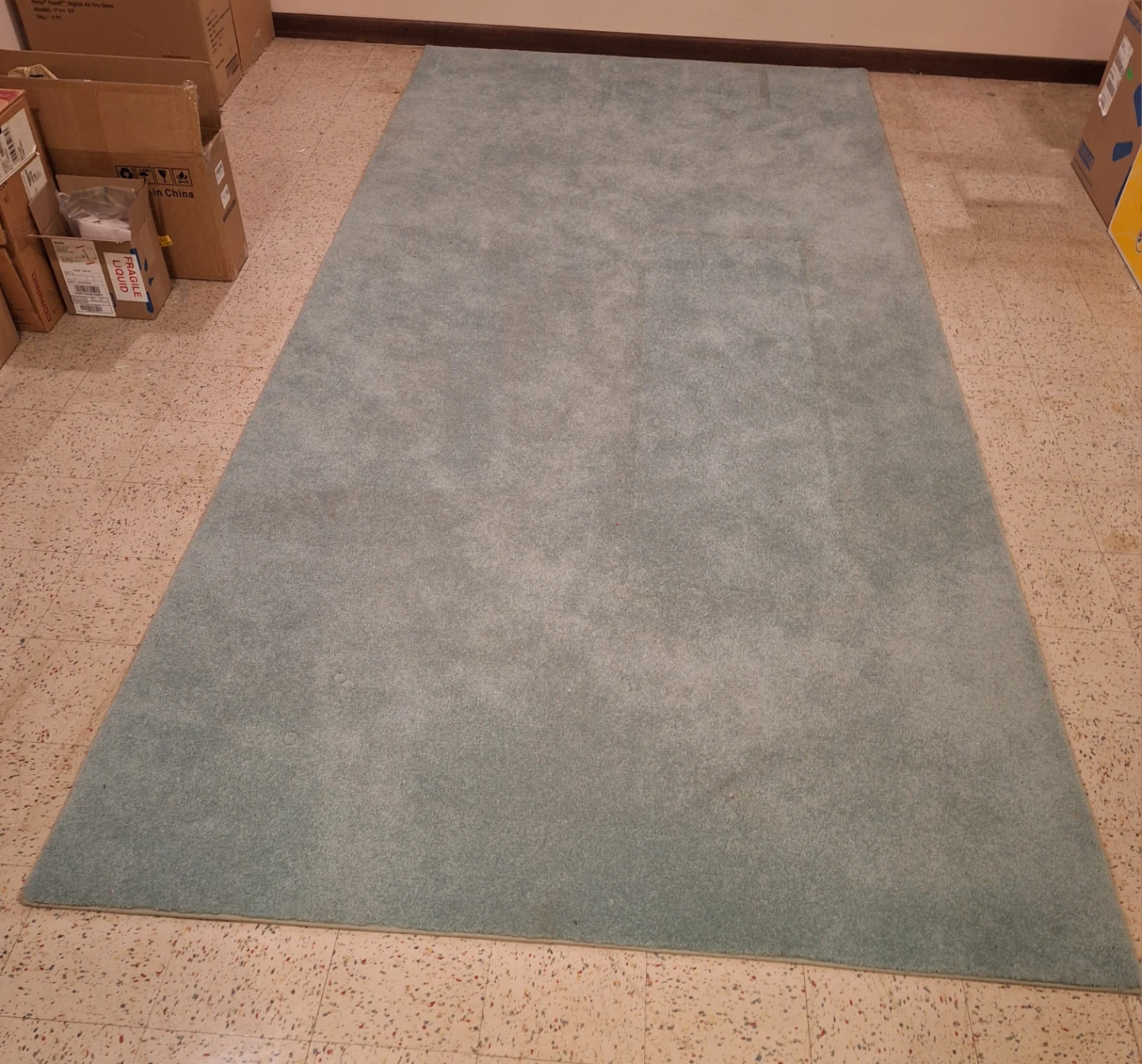 Large Area Rug