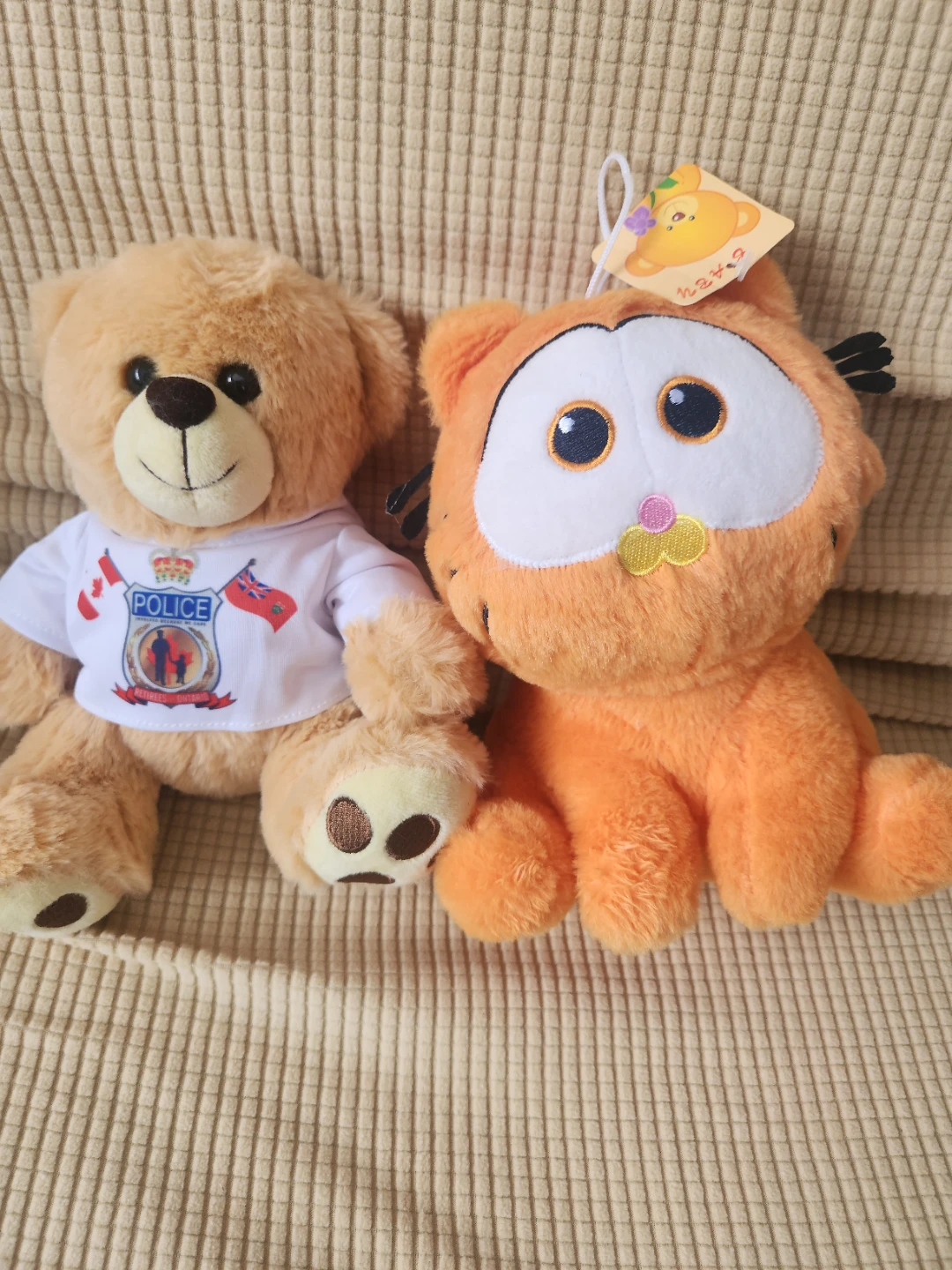 Two plush toys: police teddy bear and Garfield