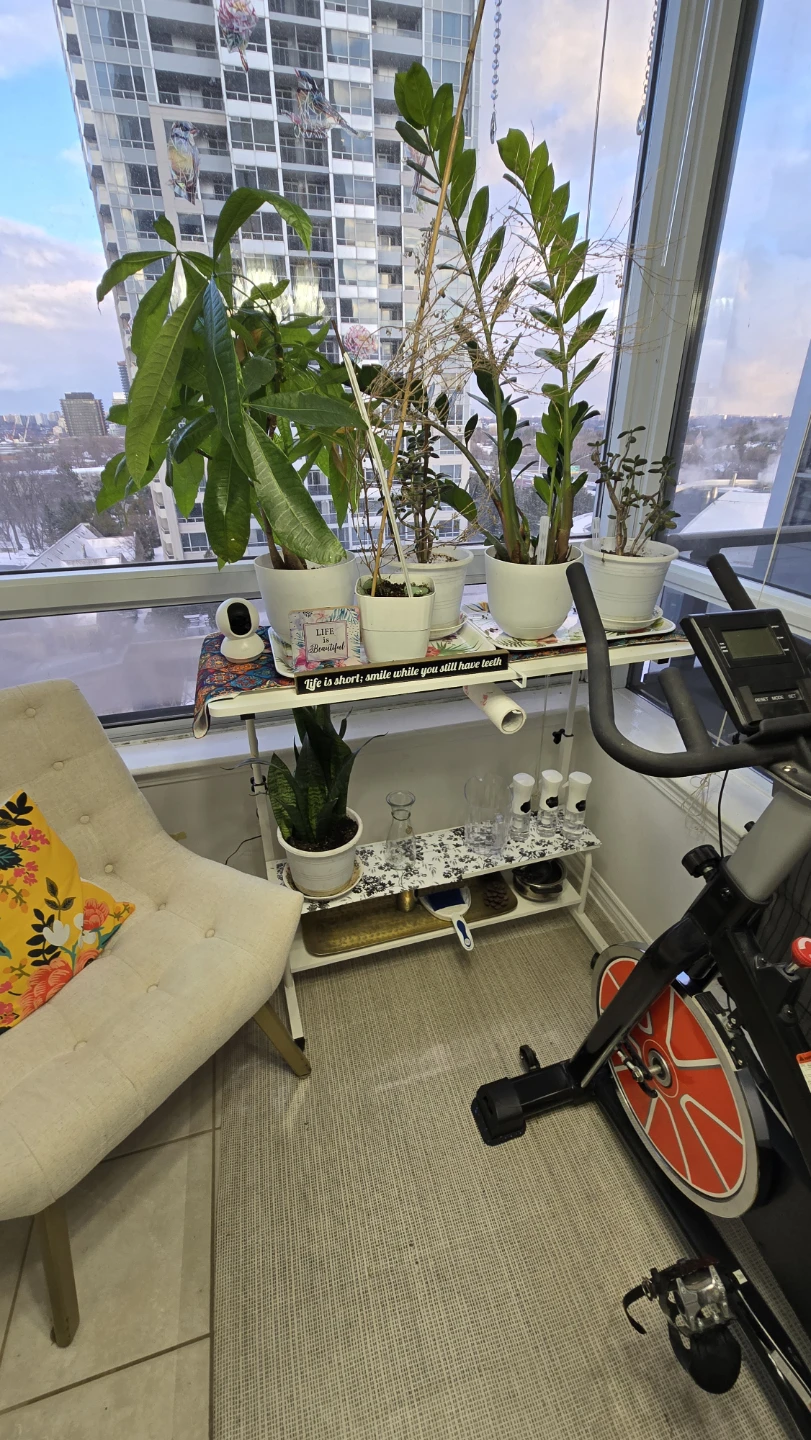Adjustable Standing Desk with Shelves - photo 2