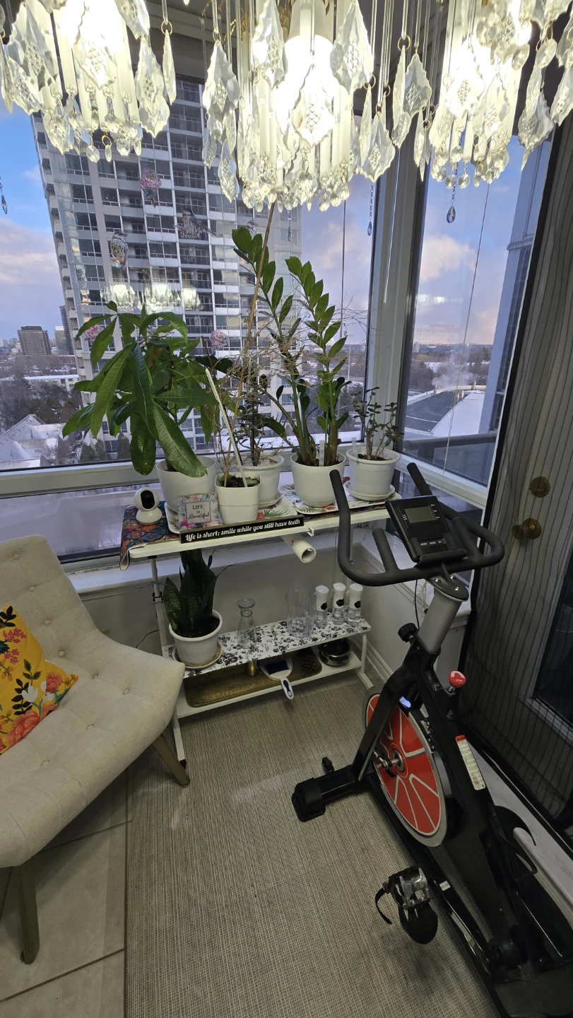 Adjustable Standing Desk with Shelves - photo 3