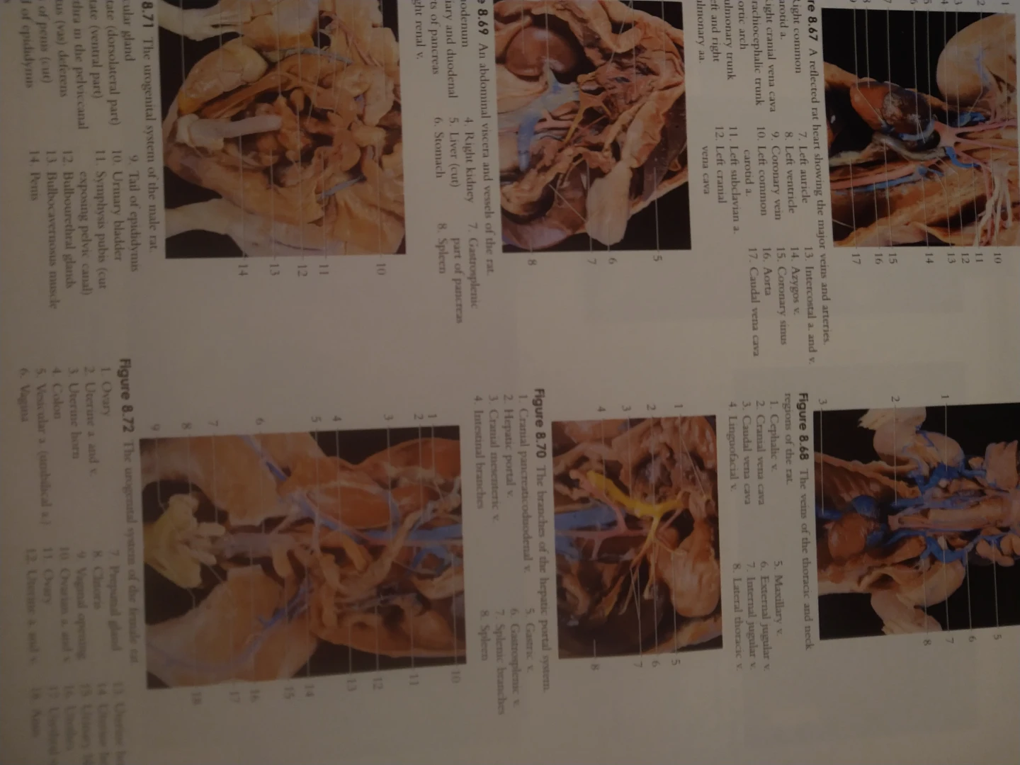 A Photographic Atlas for the Biology Laboratory Sixth Edition - photo 2