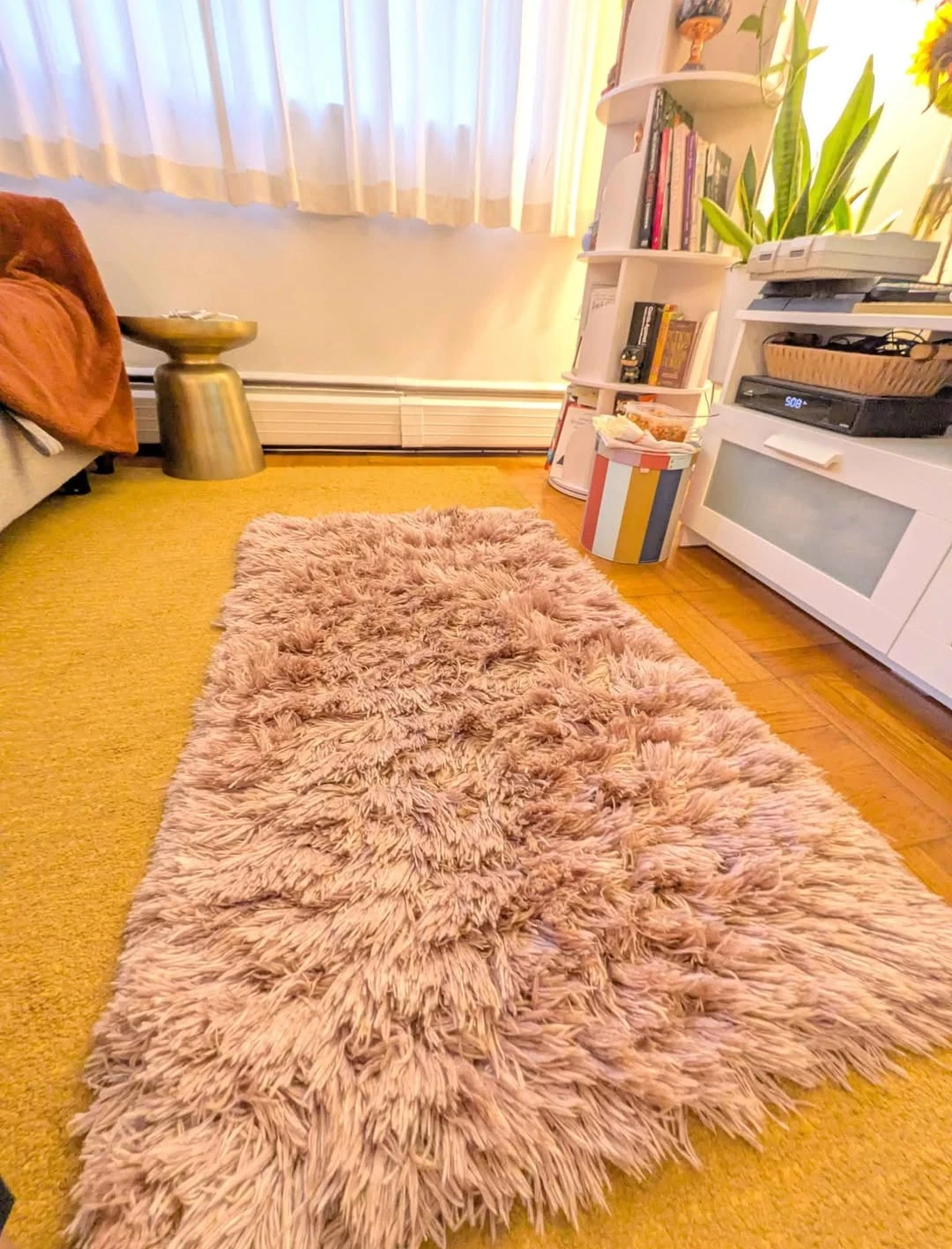 2 Shaggy Accent Rugs - Blush Pink 🏆
