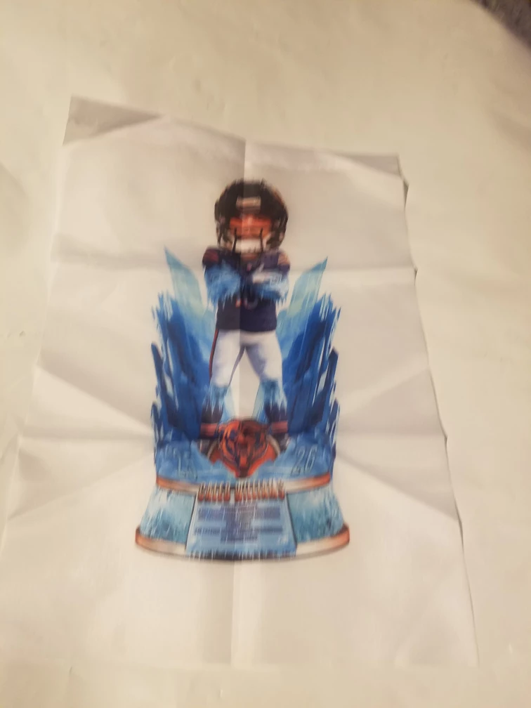 Chicago Bears Football  Garden flag or Banner
