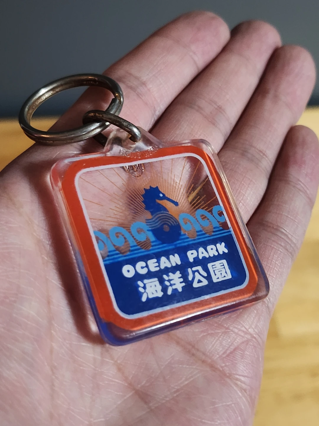 Vintage Ocean Park & Mohawk Keychains - photo 2