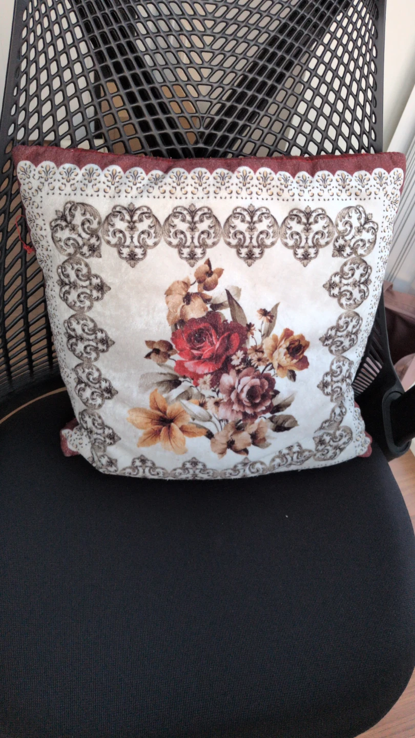 Couch Cushions
