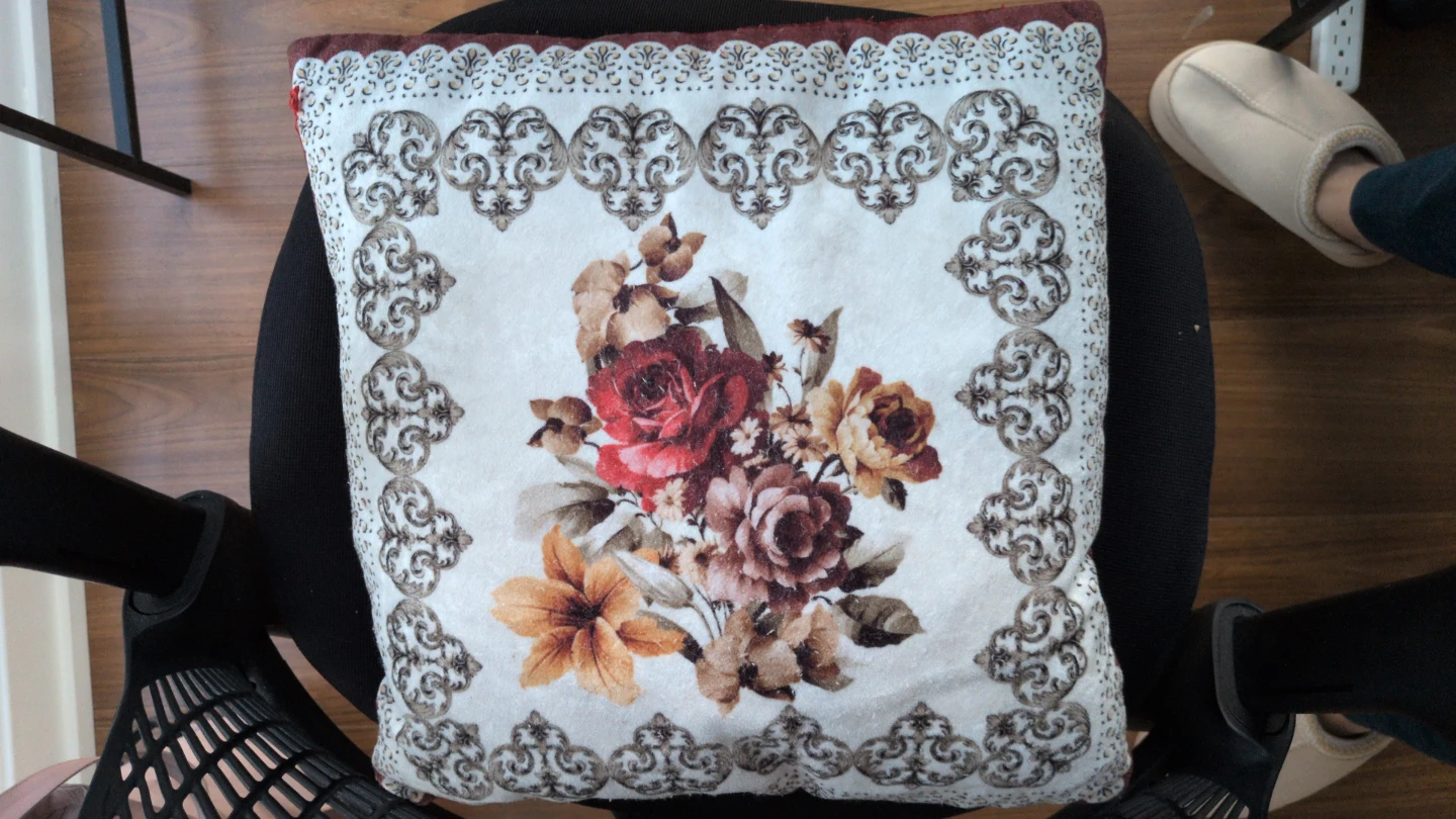 Couch Cushions - photo 3