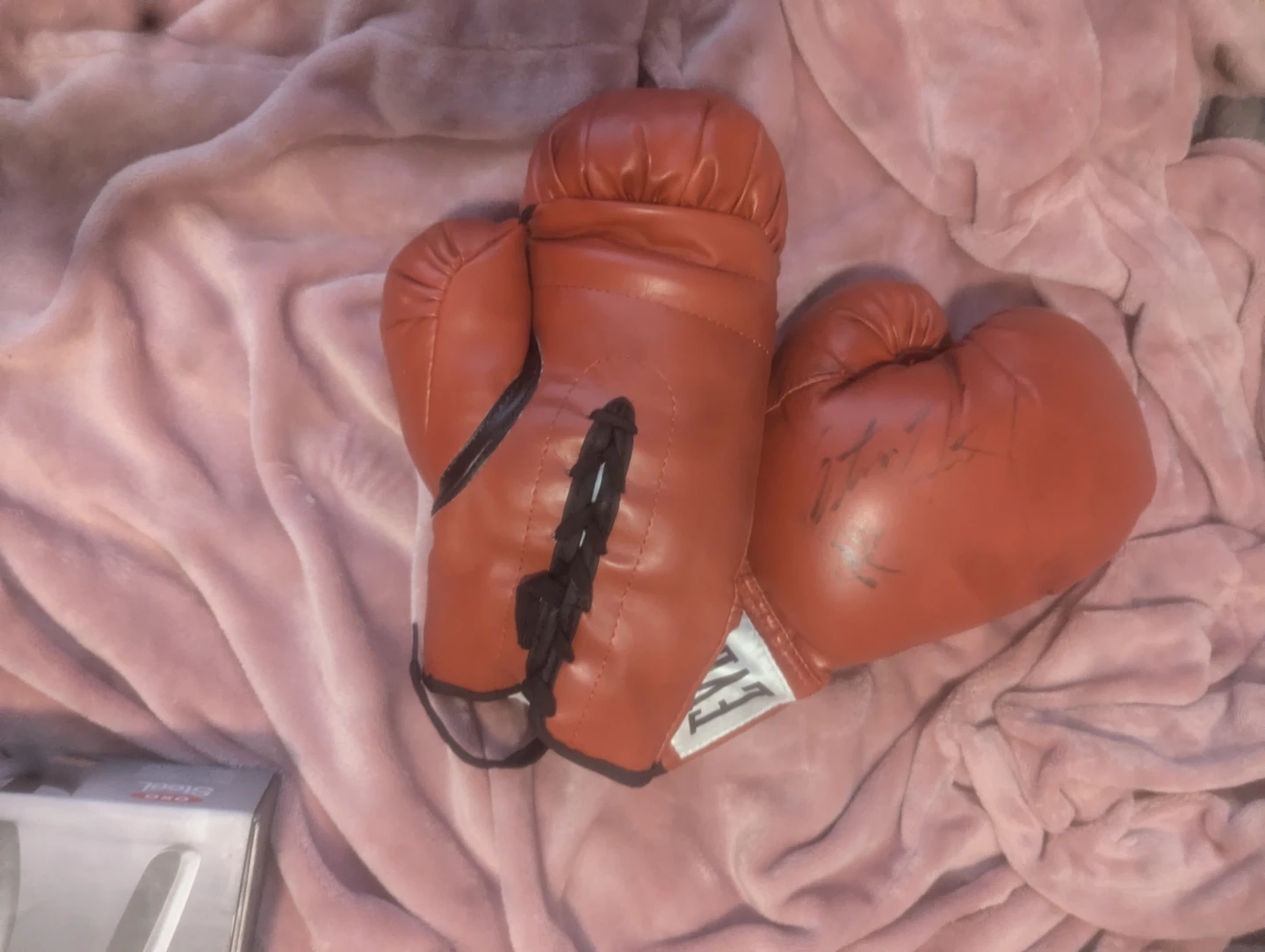 Everlast Boxing Gloves - Autographed - photo 3