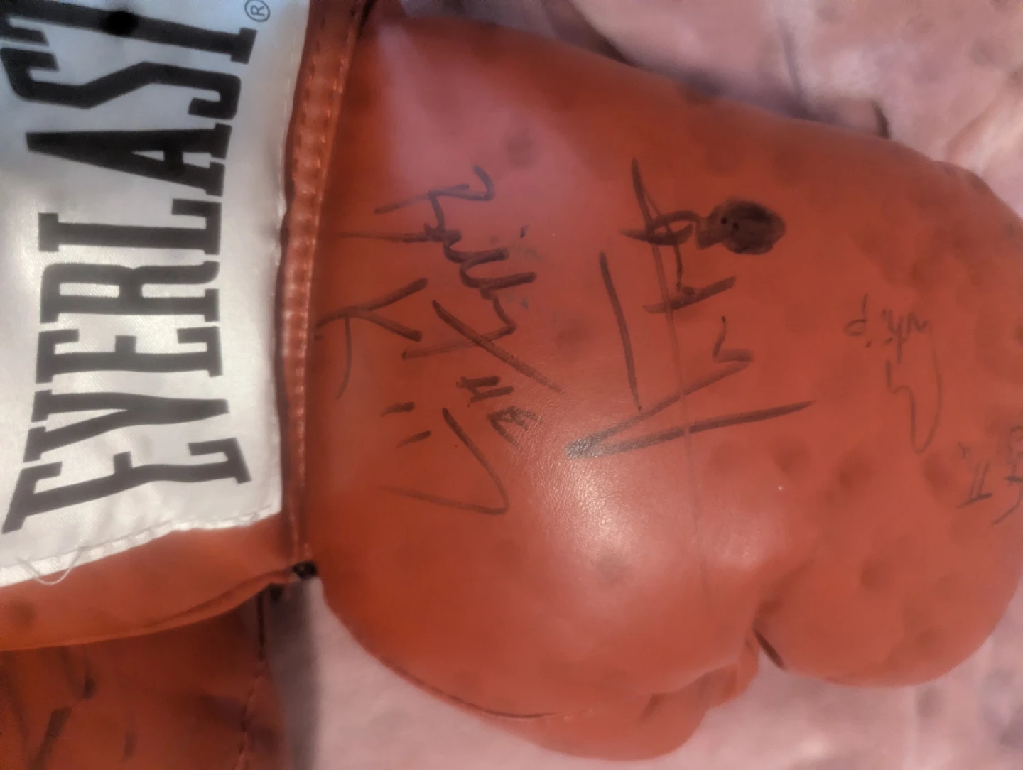 Everlast Boxing Gloves - Autographed - photo 4