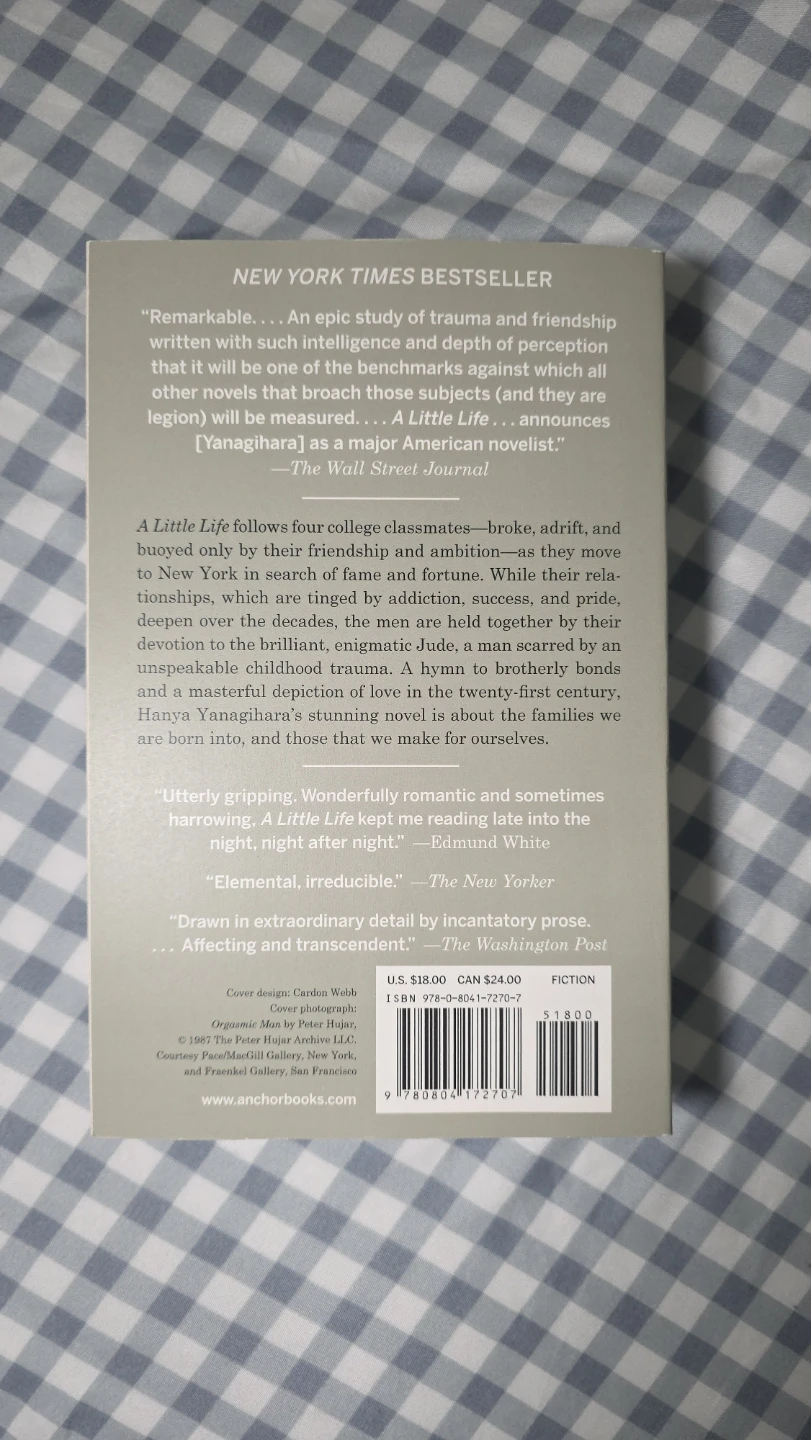 A Little Life by Hanya Yanagihara - Paperback - photo 3