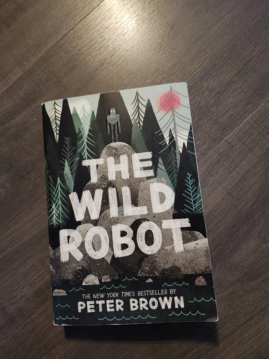 Wild Robot Book 🥕