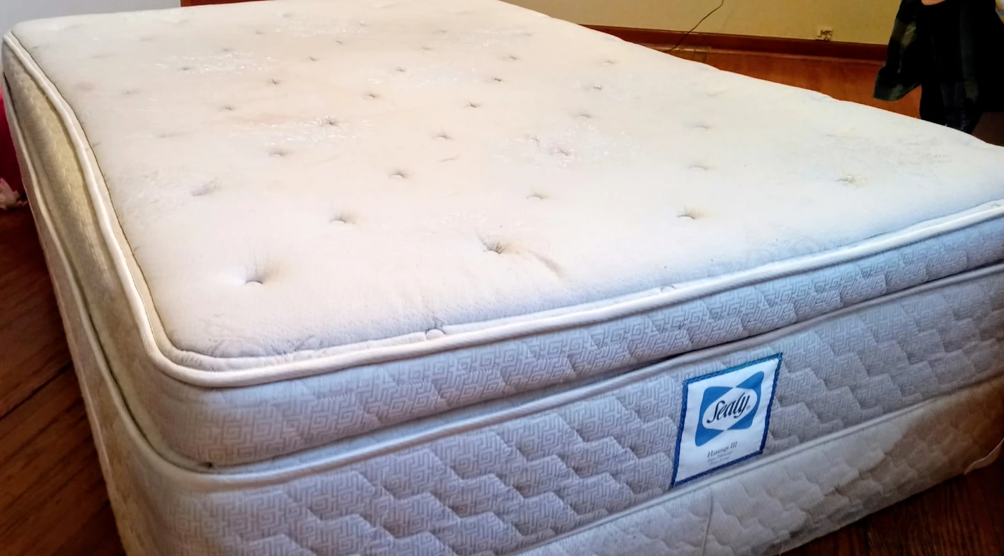 Bed: Sealy Mattress with soft euro cover, and box.