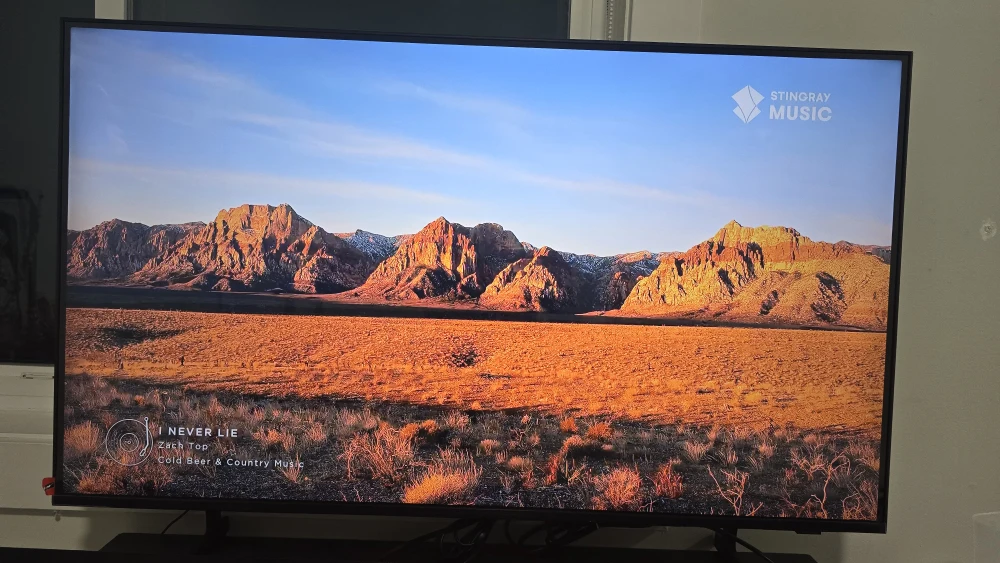 Samsung UN43DU6900F 43inch TV - photo 3