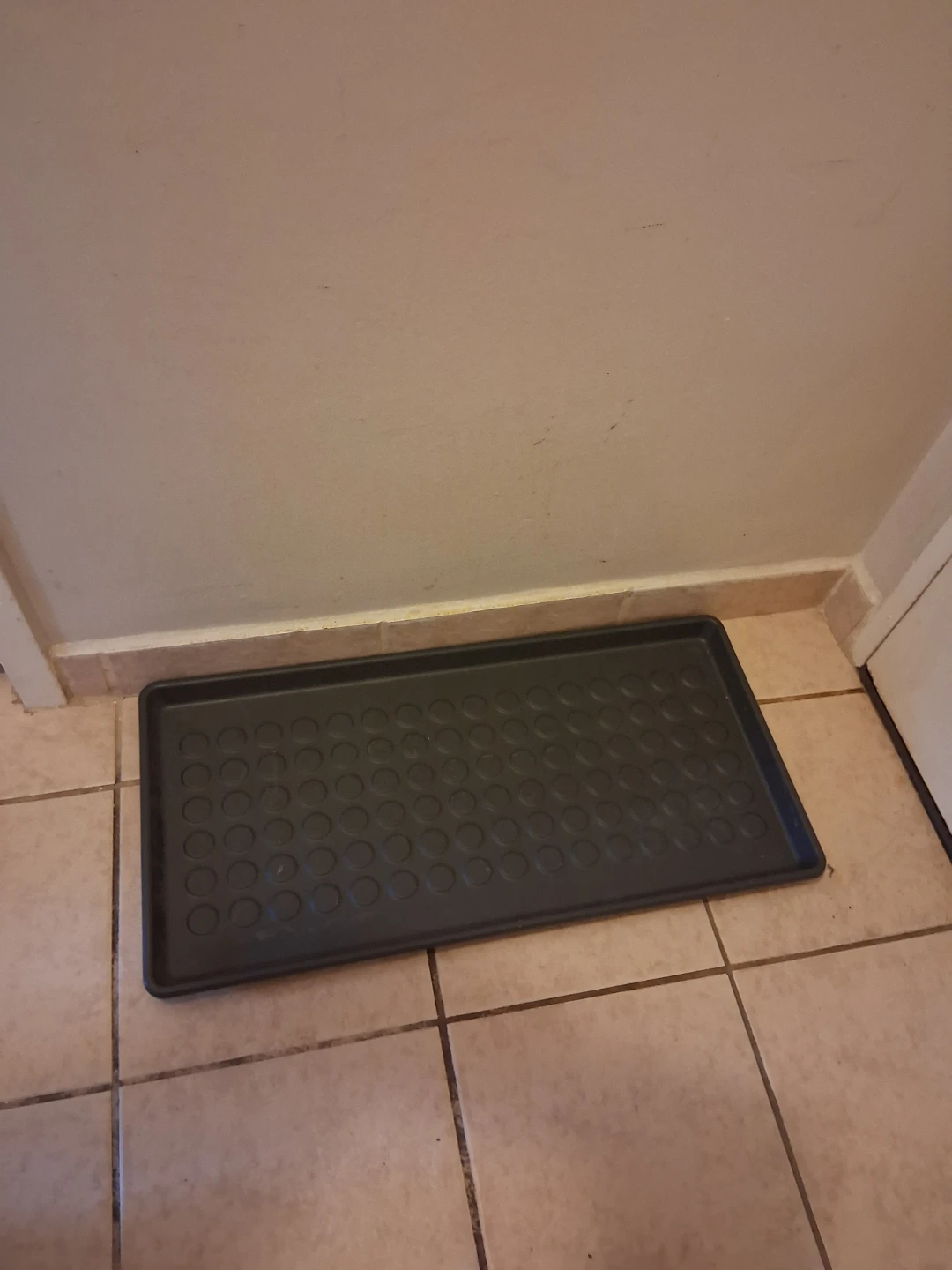 Black boot tray 🥕
