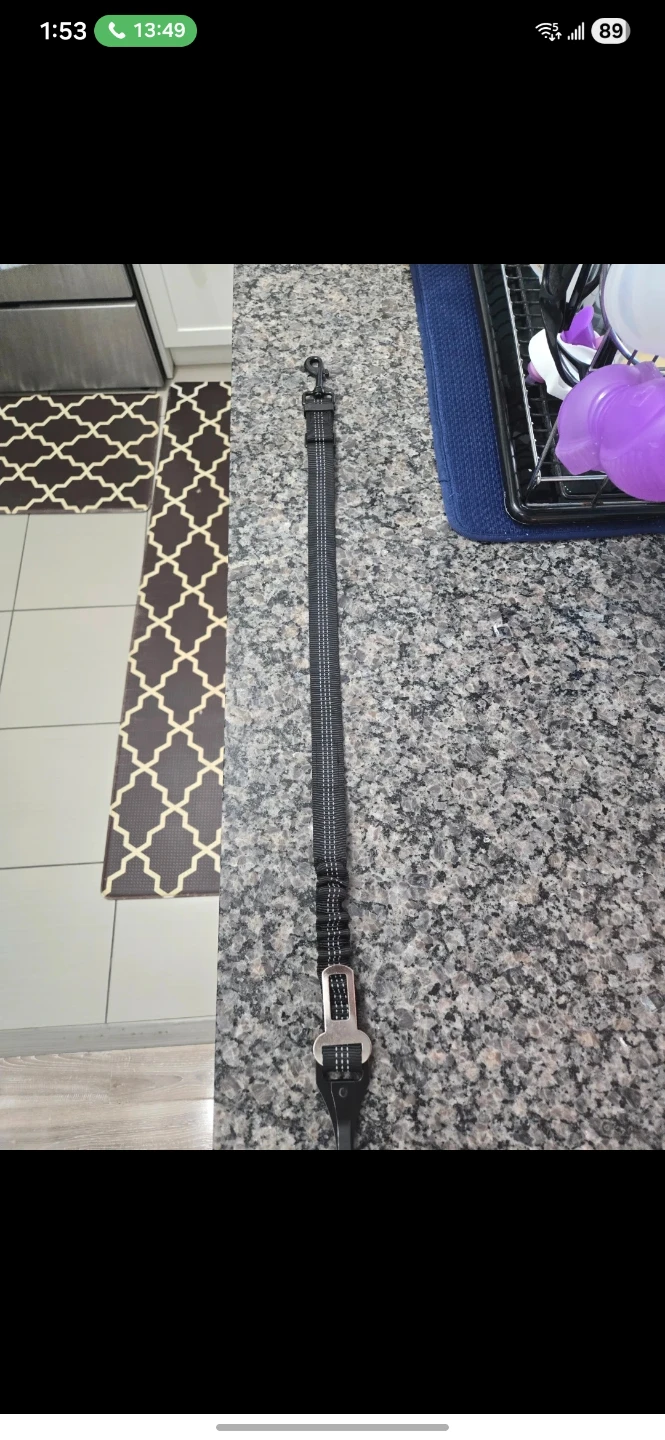 dog car belt + brush 2 for $5 - photo 4