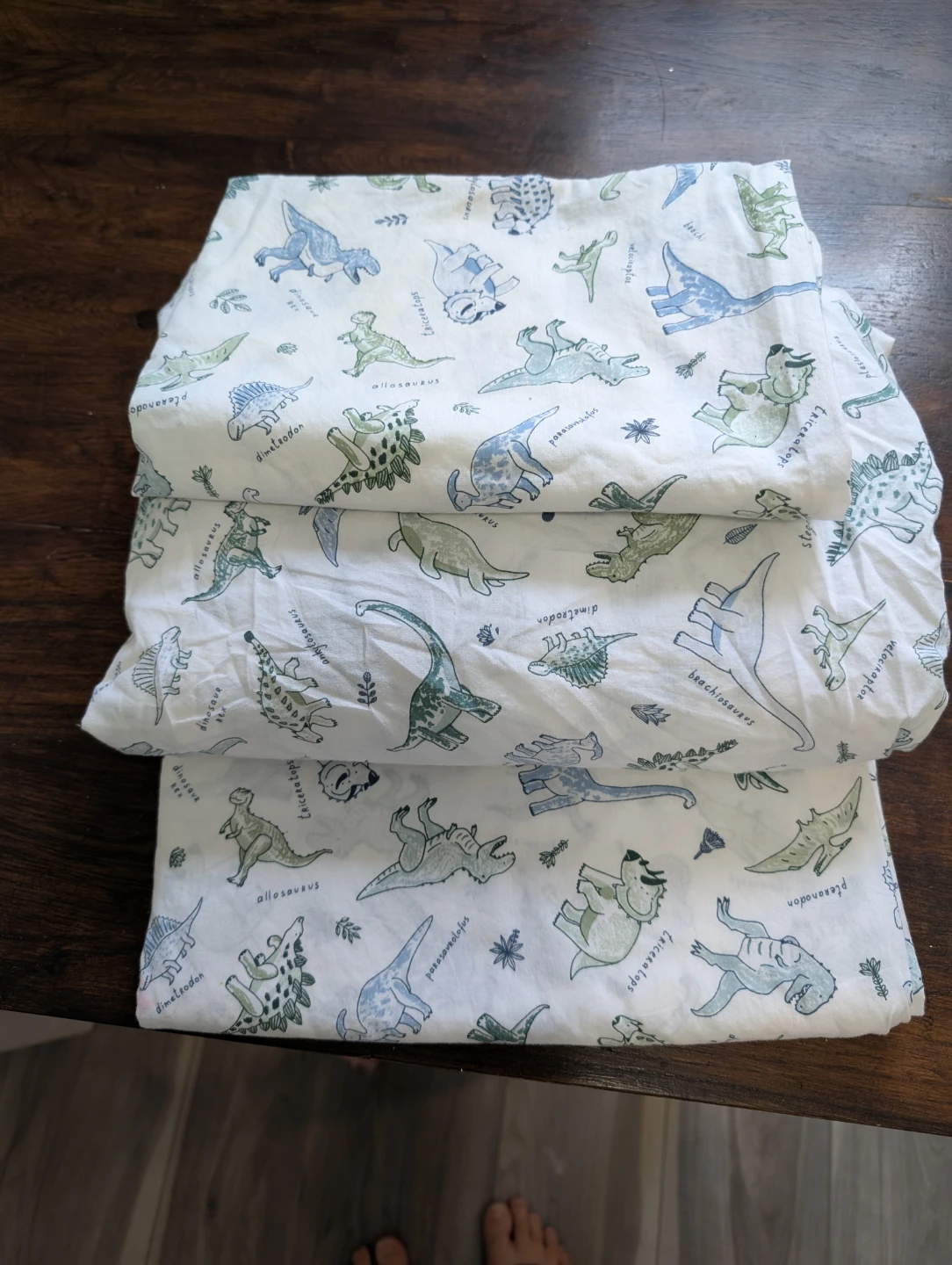 Dinosaur Print Bed Sheet Set