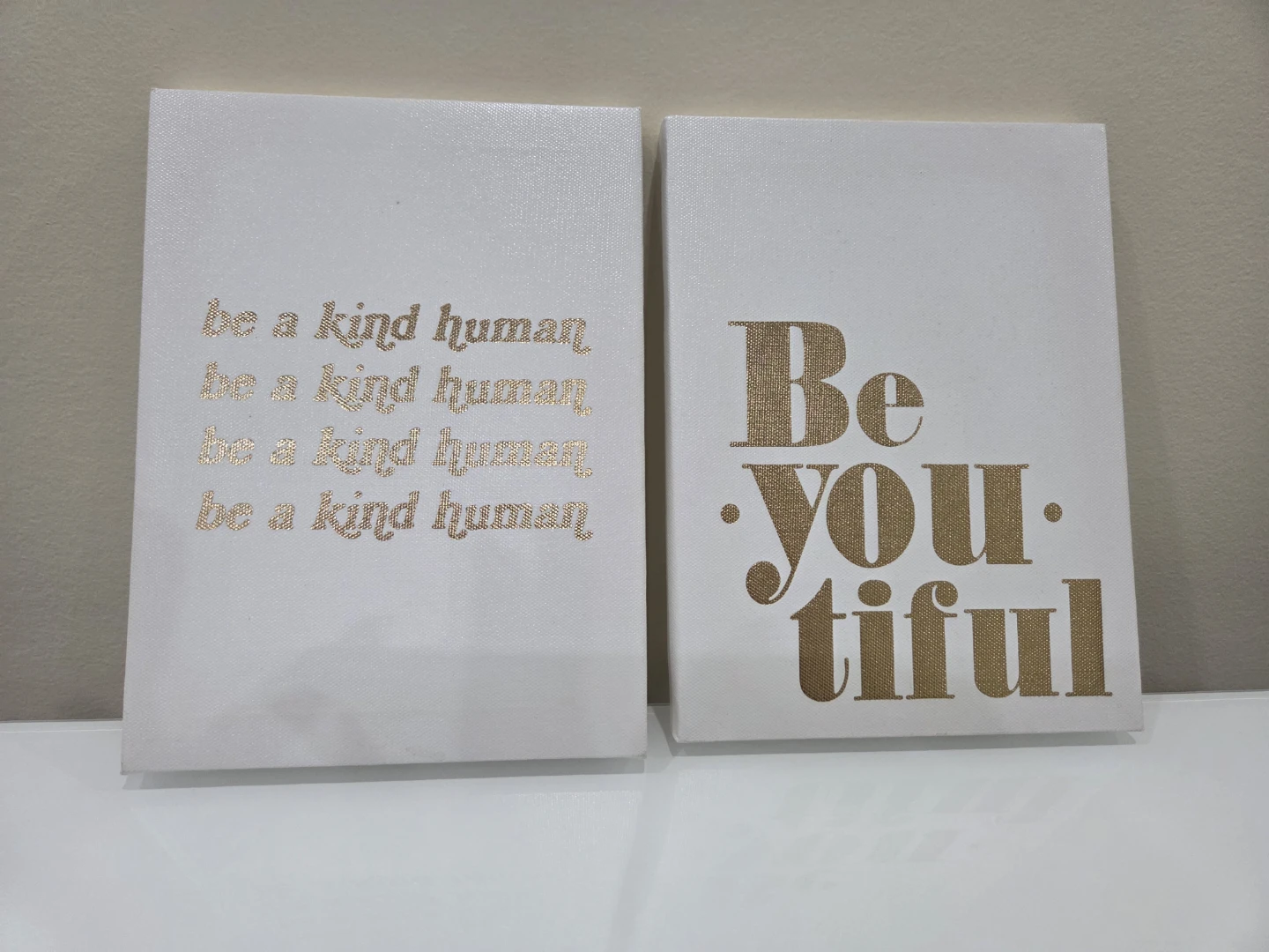 Set of 2 Inspirational Wall Art Canvases