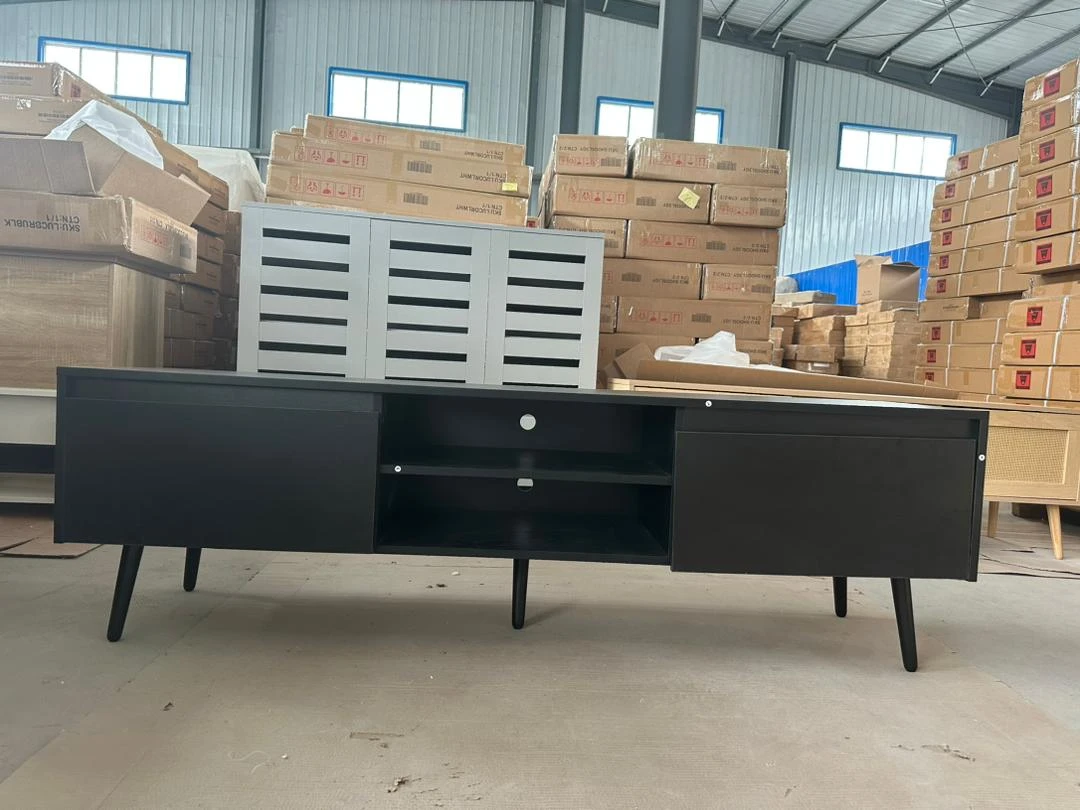 Modern Black Media Console with 2 Doors and Shelves