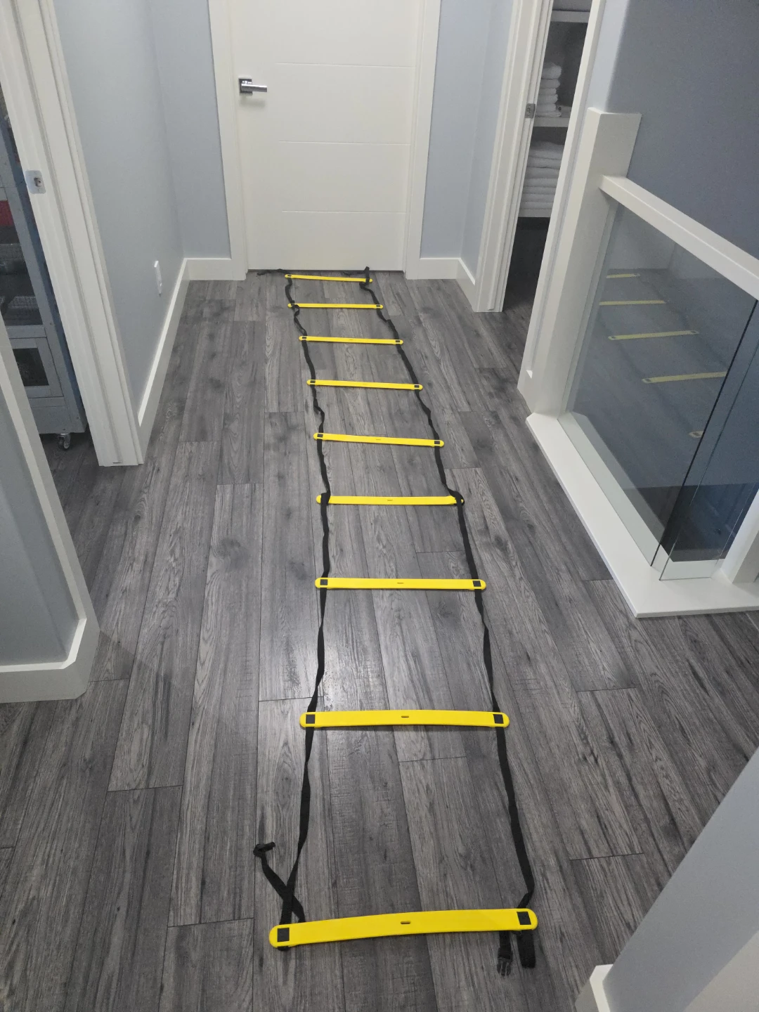 Everlast F.I.T. Agility Ladder with Bag