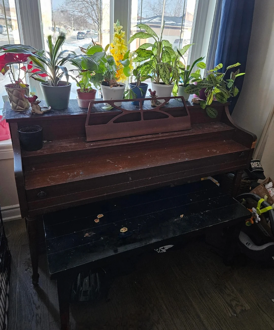 Free Piano - photo 2