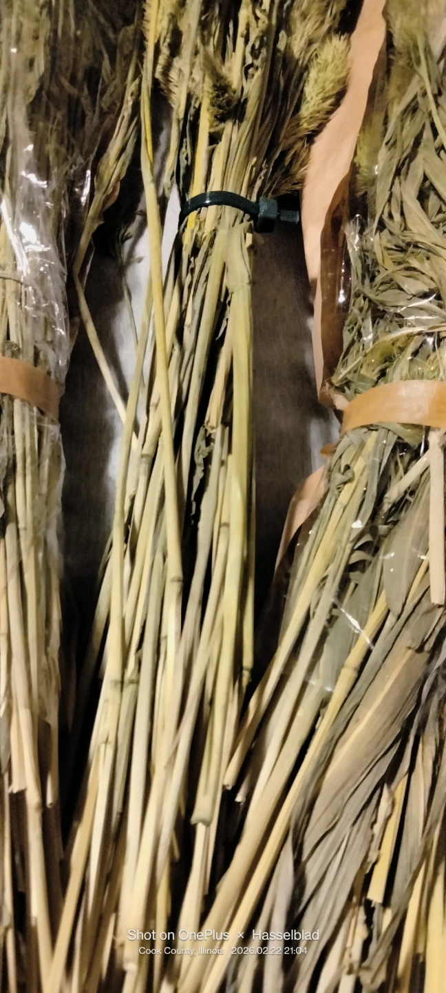 Dried Pampas Grass Stems (Set of 3) - photo 4