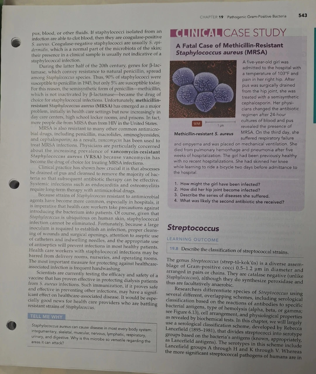 Microbiology: With Diseases by Taxonomy Loose leaf Textbook - photo 4