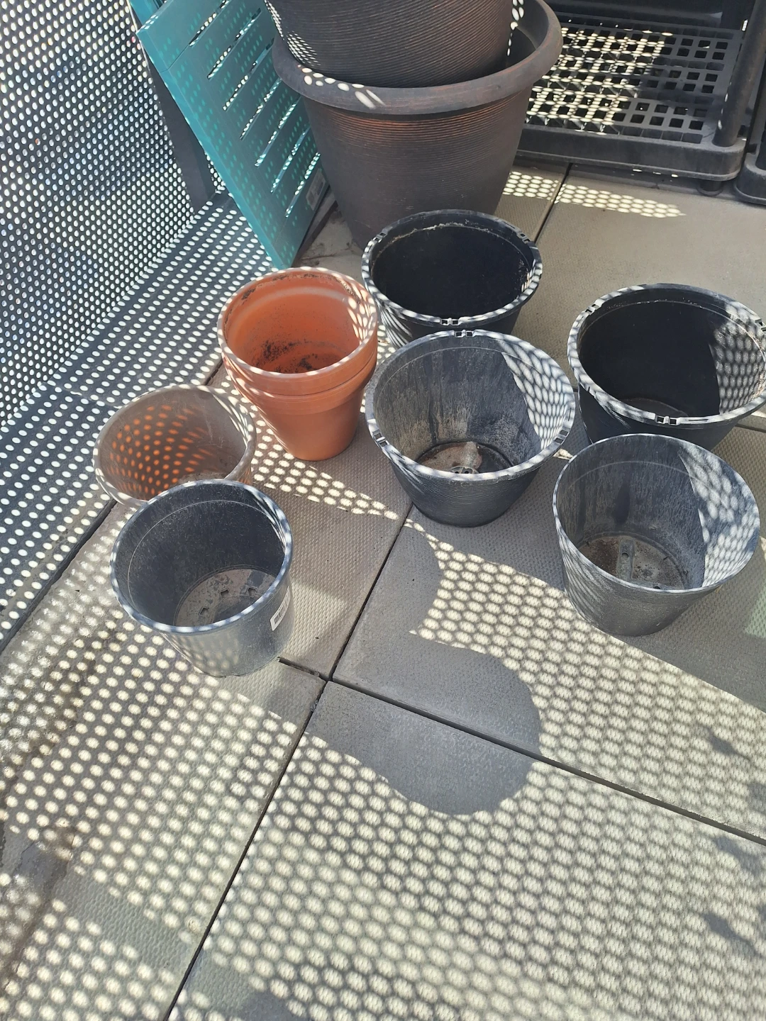 Assorted Plant Pots and Hangers